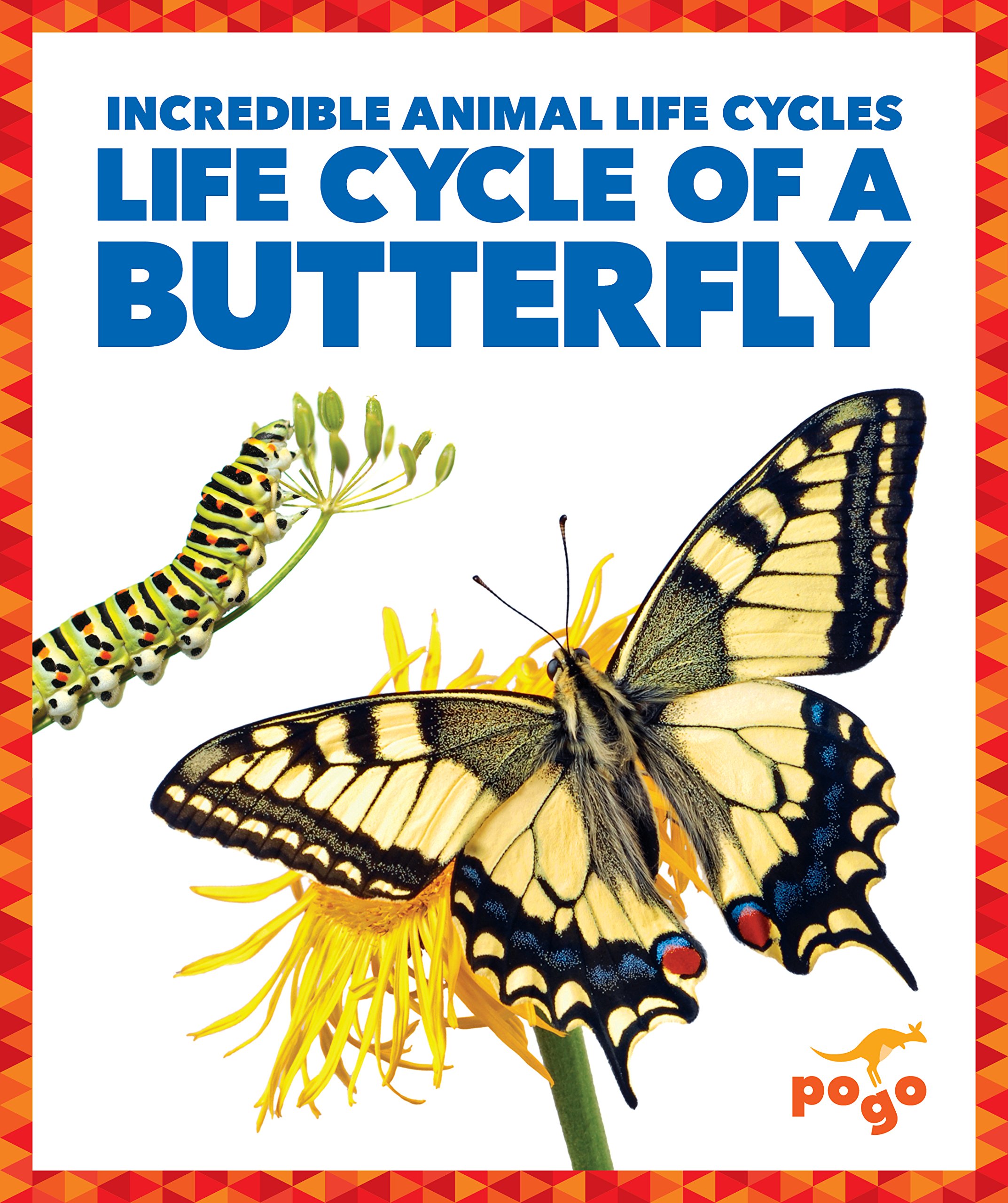 Life Cycle Of A Butterfly Book