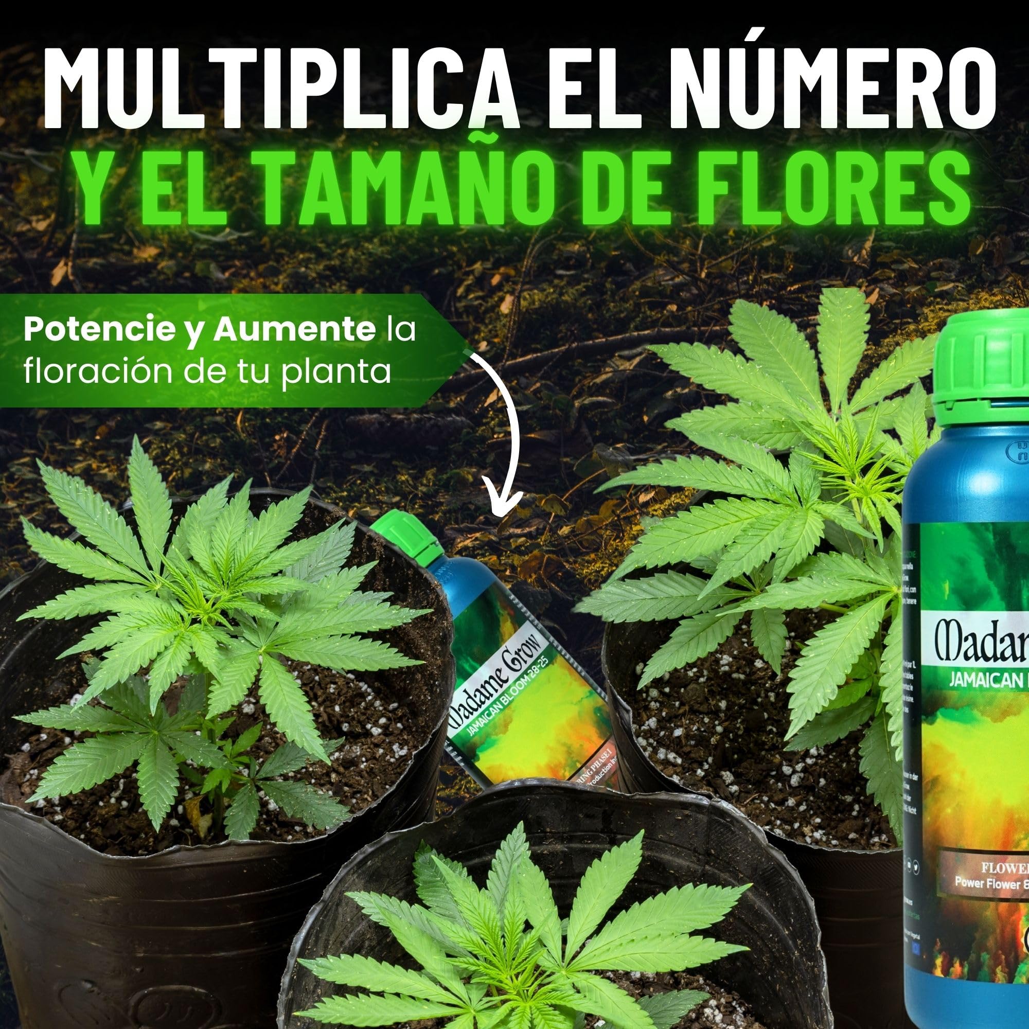 Madame Grow Kit Basic 3x250ml — Pack Fertilizantes Orgánicos Crecimiento y Floración, Abono Líquido Superconcentrado
