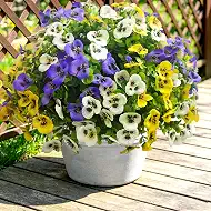 Artificial Flowers for Outdoors Faux Plants, 14 pcs Realistic Fake Pansies Silk Flowers UV Resistant, Lifelike Faux Outdoor Flowers for Porch Garden Patio Window Box Decor