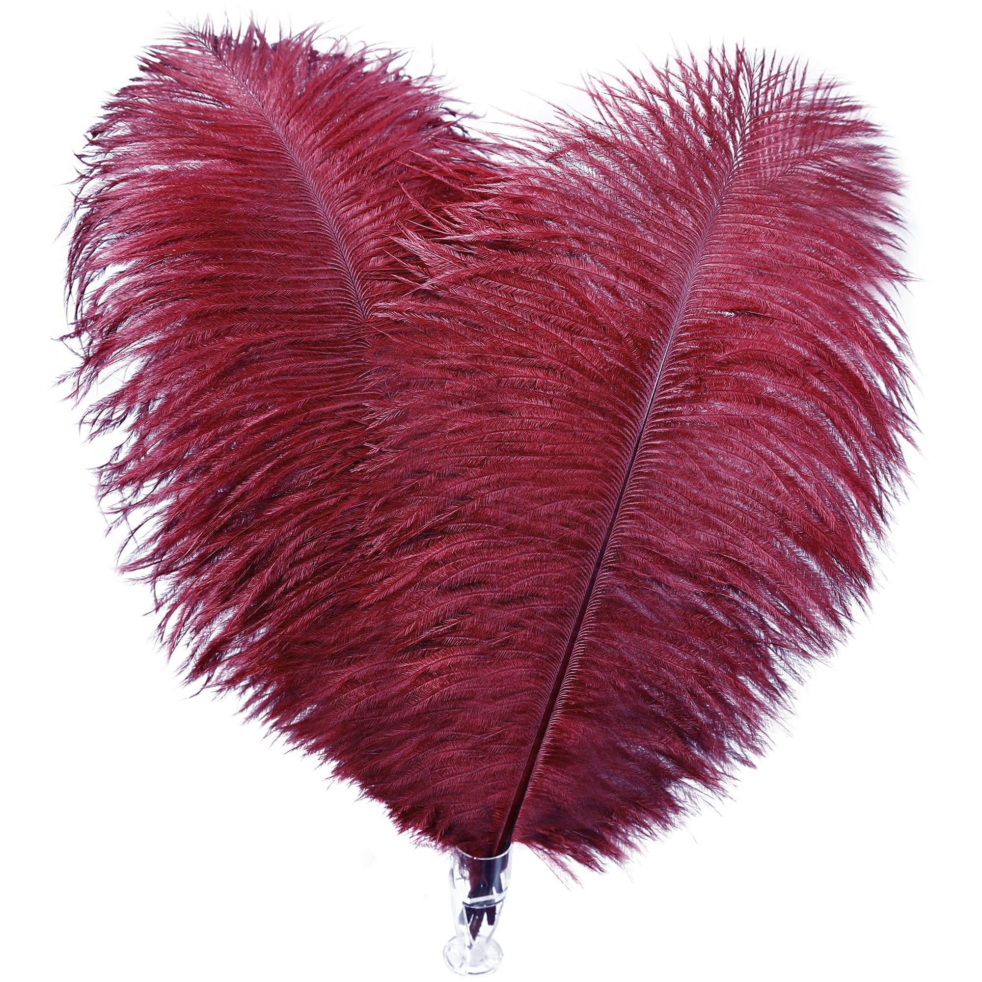 Soarer Burgundy Long Ostrich Feathers Bulk for Crafting - 18pcs 8-10inch