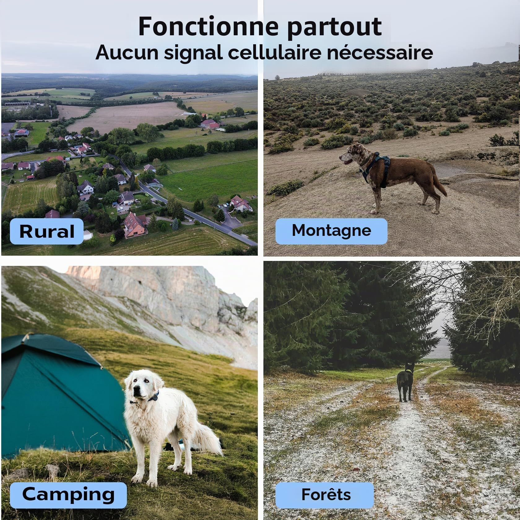 Tracker GPS portable Sans frais mensuels, pour chien et chat Localisateur en temps réel Étanche (Tracker 2) Jaune