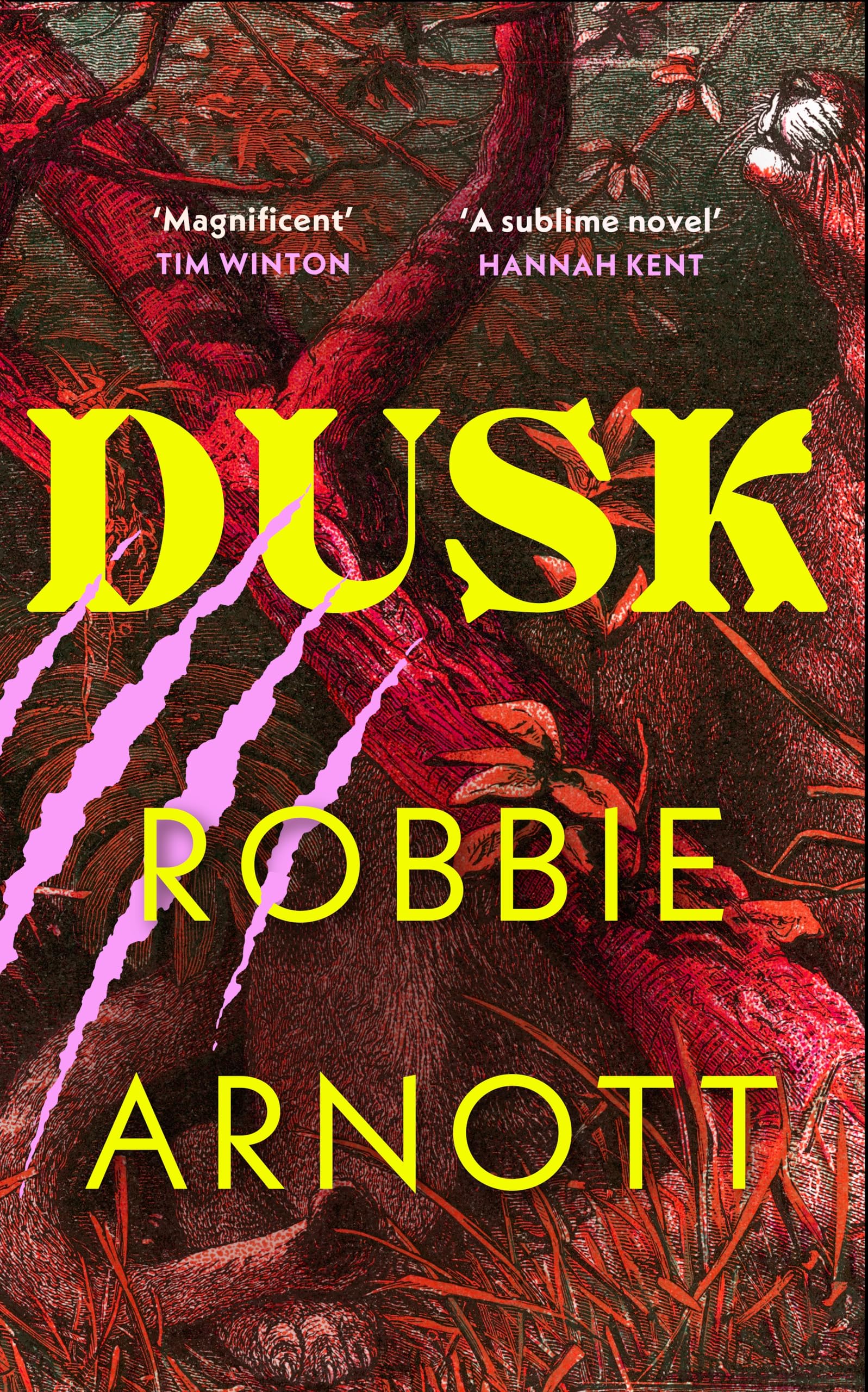 Dusk — Historischer Roman — Jagd auf eine Puma