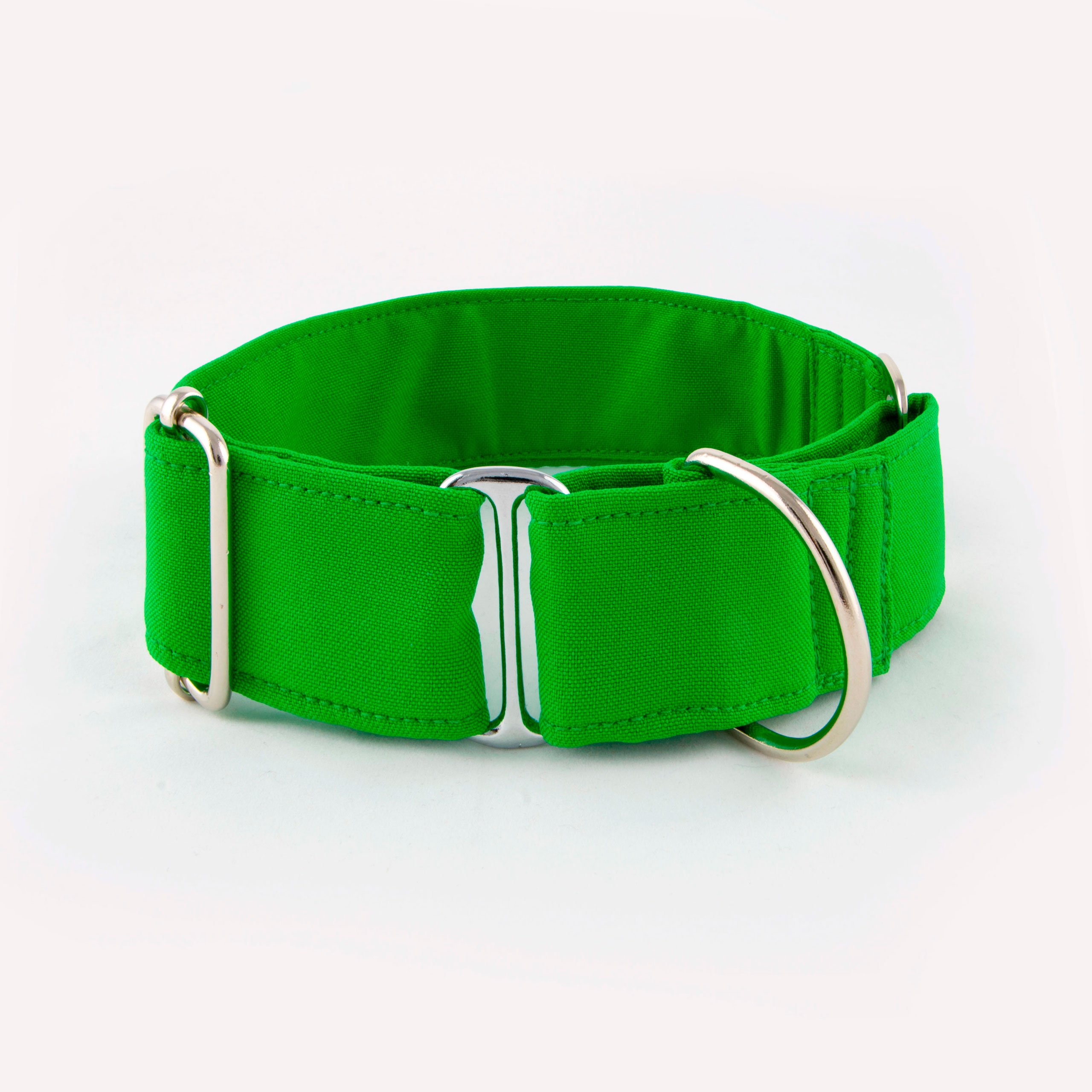 Collier pour chien anti-fuite Galguita Amelie Vert 4S pour des balades sereines en forêt