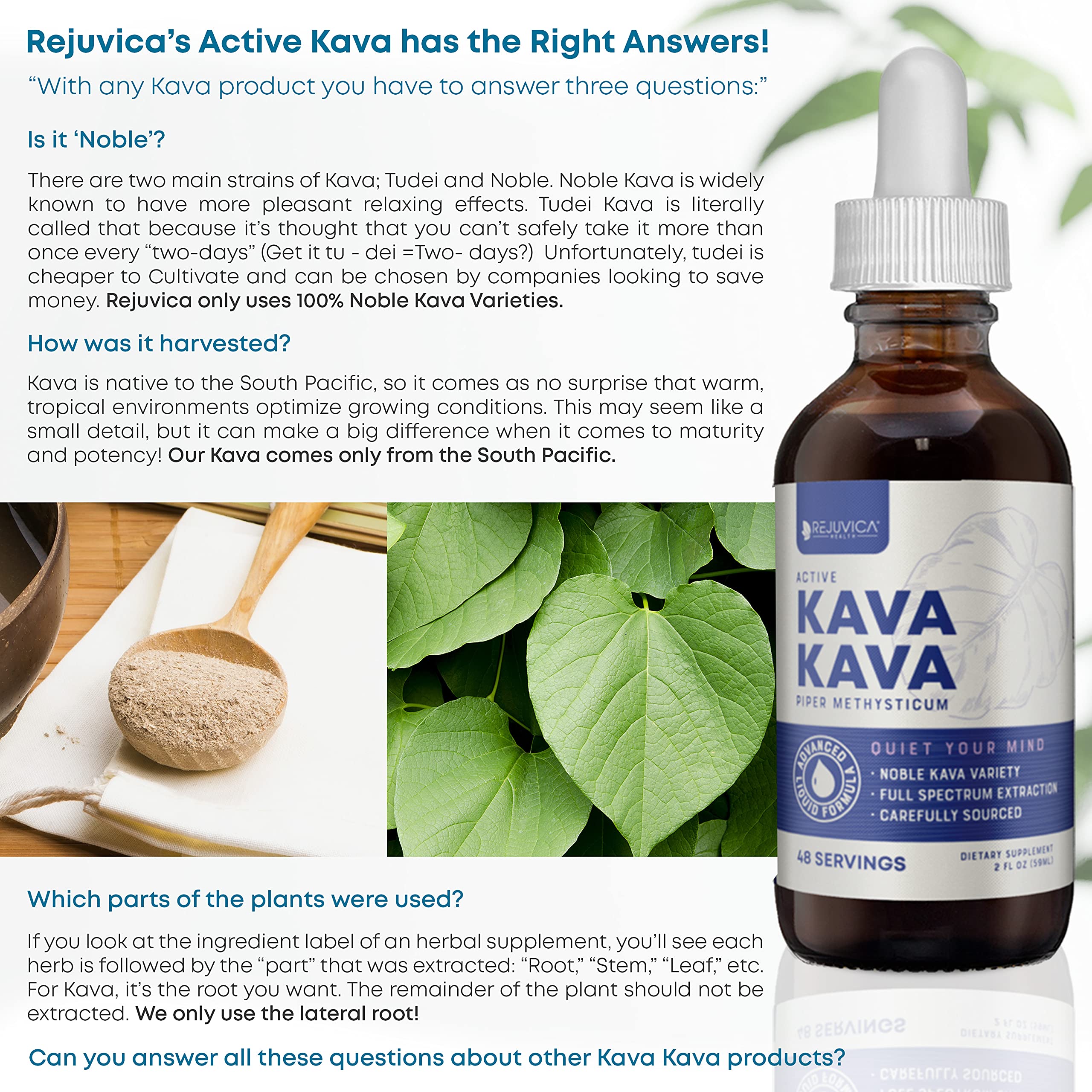 Buy Kava Kava Root Extract Supplement Active Kava Kava Potent