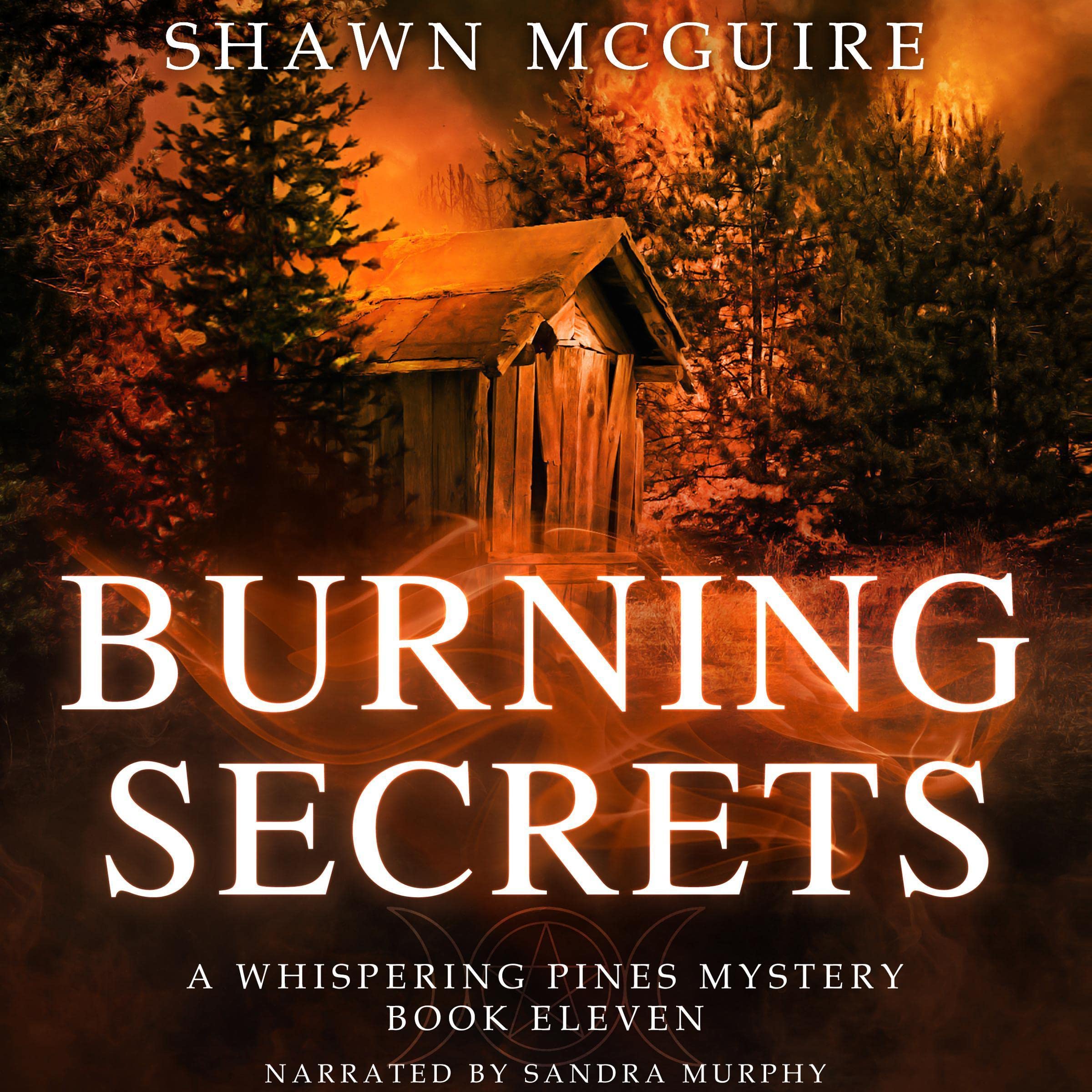 Cover art for Burning Secrets