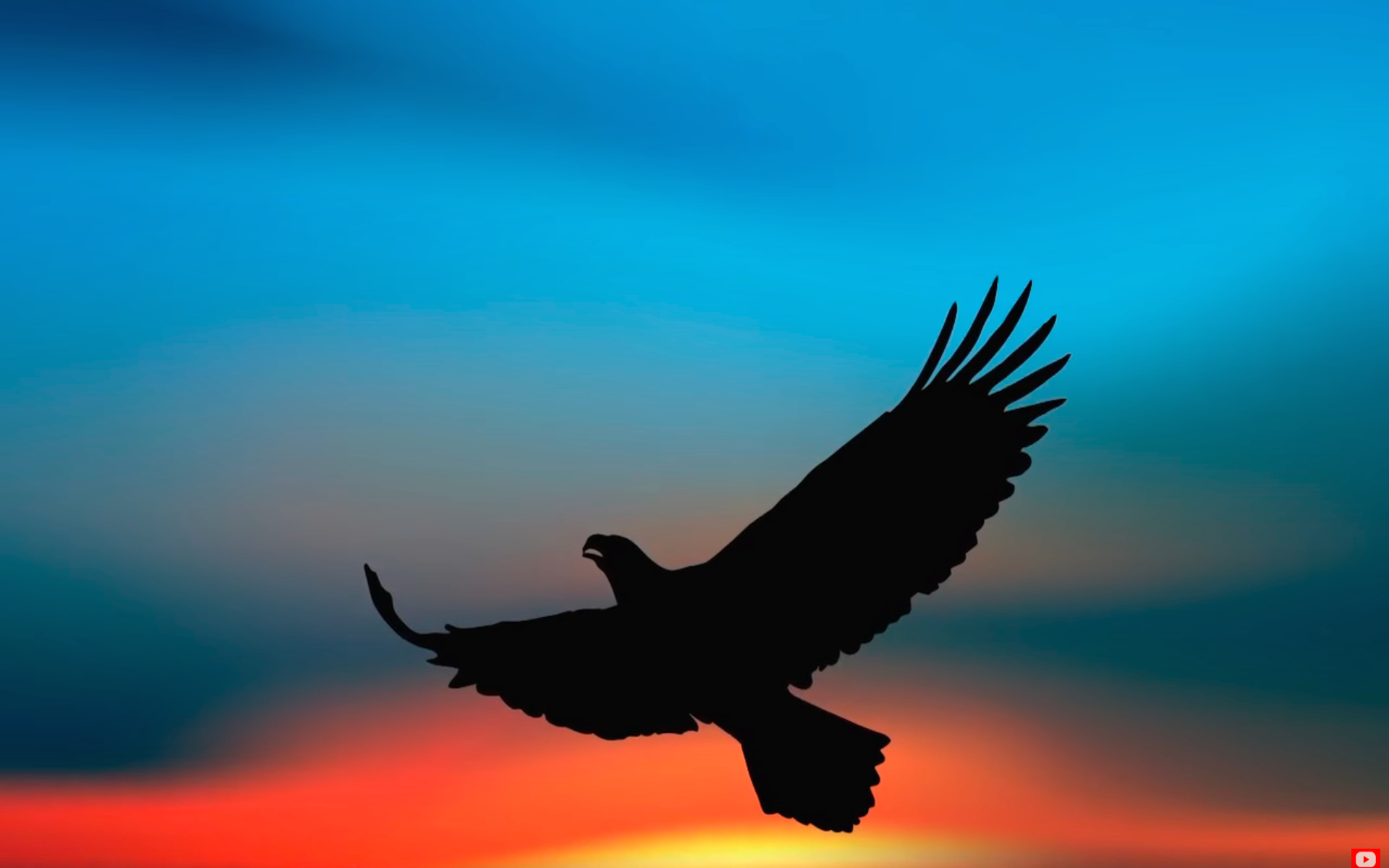 Zen TVAmazon.deAppstore for Android