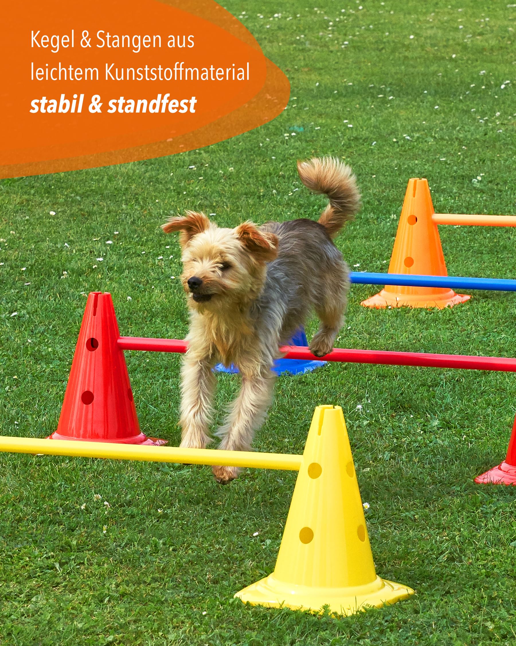 Kit de coordination avec échelle de coordination, plaques de marquage, obstacles de saut et sac - Pour parcours, mouvement et coordination - École, sport et entraînement des chiens