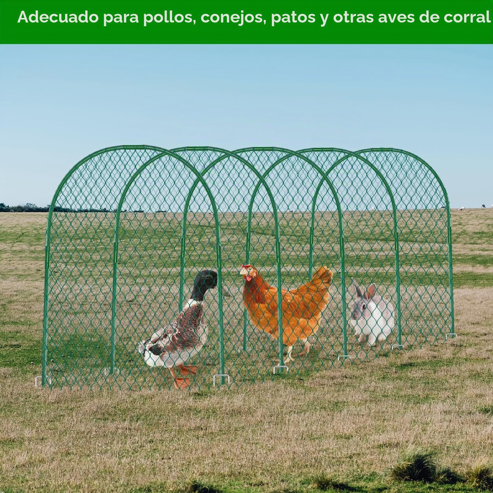 UNIFAMILY Túnel de Pollo, gallinero, 157 x 31 Pulgadas, túneles de Pollo para Patio Exterior, túnel de fácil instalación, Adecuado para Pollos, Patos, Conejos, Grandes, Color Verde