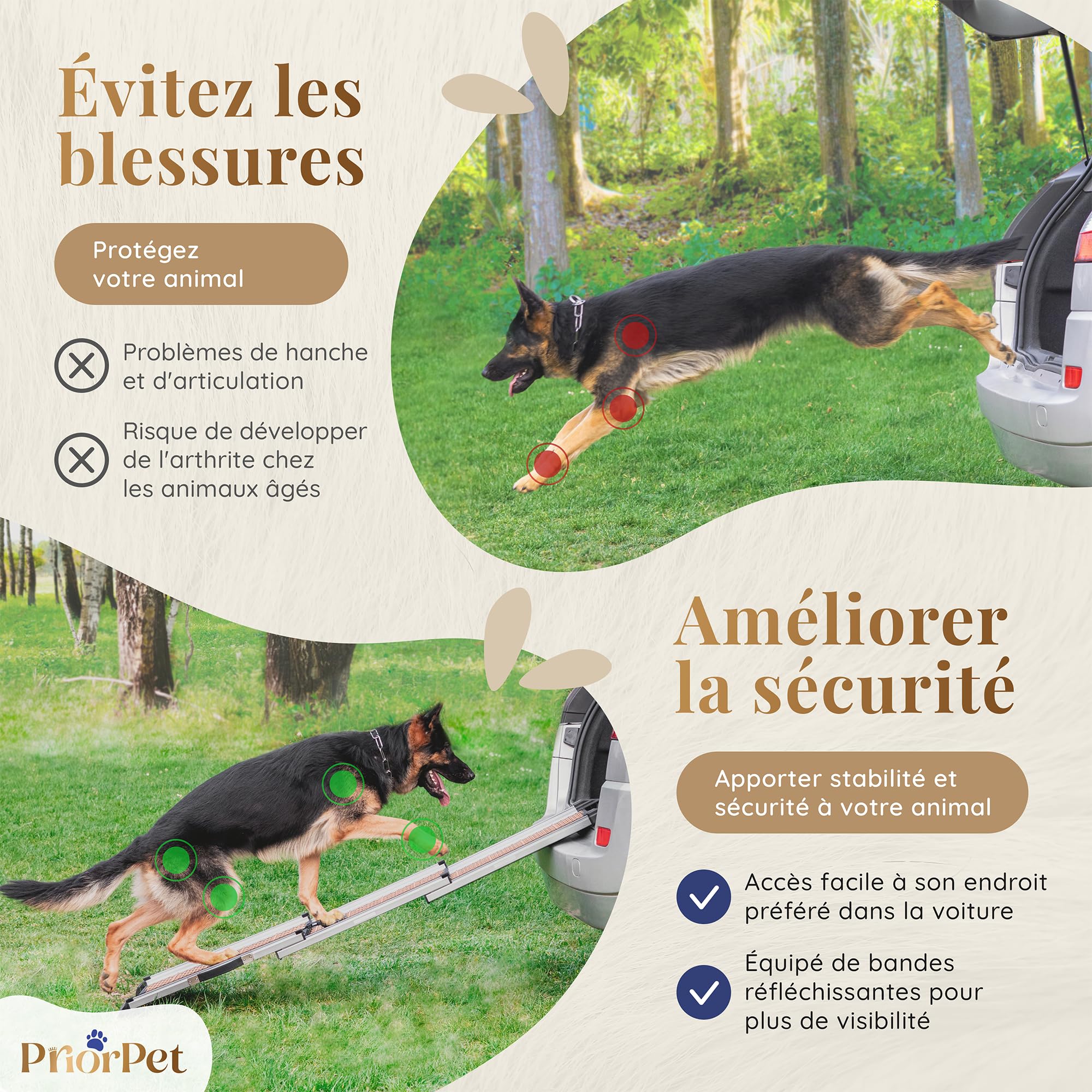 Rampe pour Chien Voiture, SUV - Stable - Antidérapante - Capacité 90kg - Design Compact - Rampe Télescopique pour Grands Chiens - Bordures Réfléchissantes pour la Sécurité - Clip de Fixation - Sable