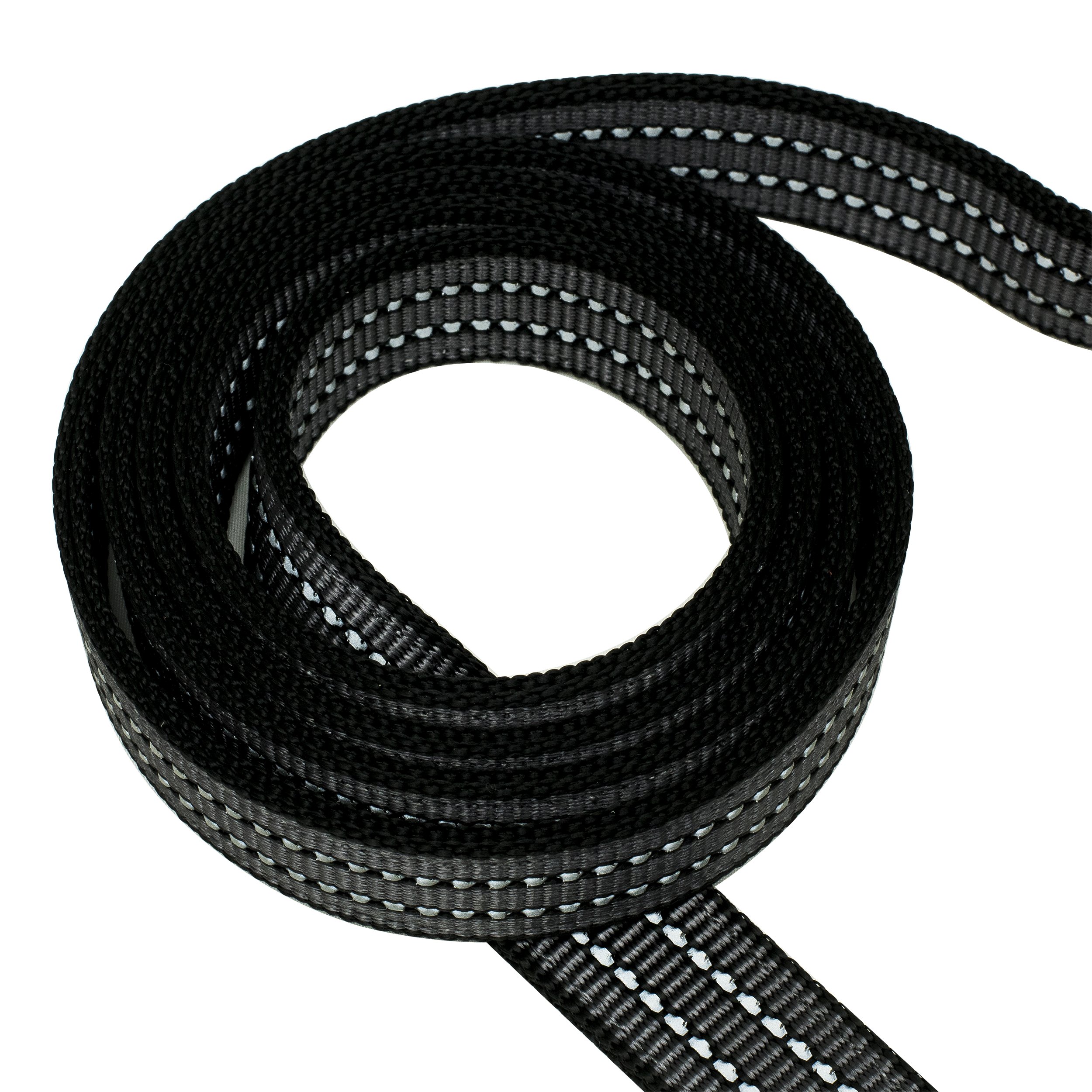 Franklin Pet Supply Hundeleine - 1,8 M, Nylon, Reflektierend, Neopren-Griff - Sicher & Bequem Für Spaziergänge