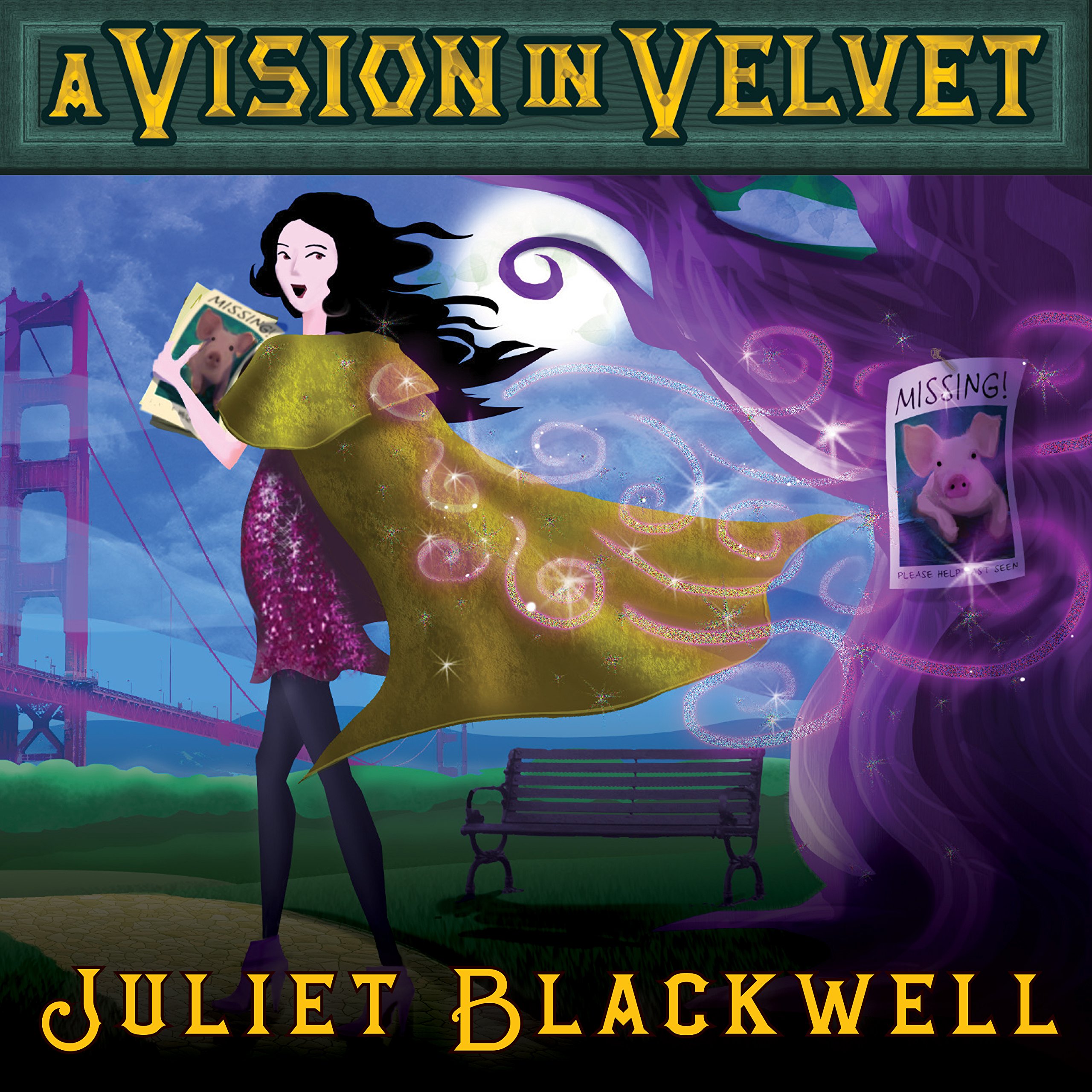 Cover art for A Vision in Velvet