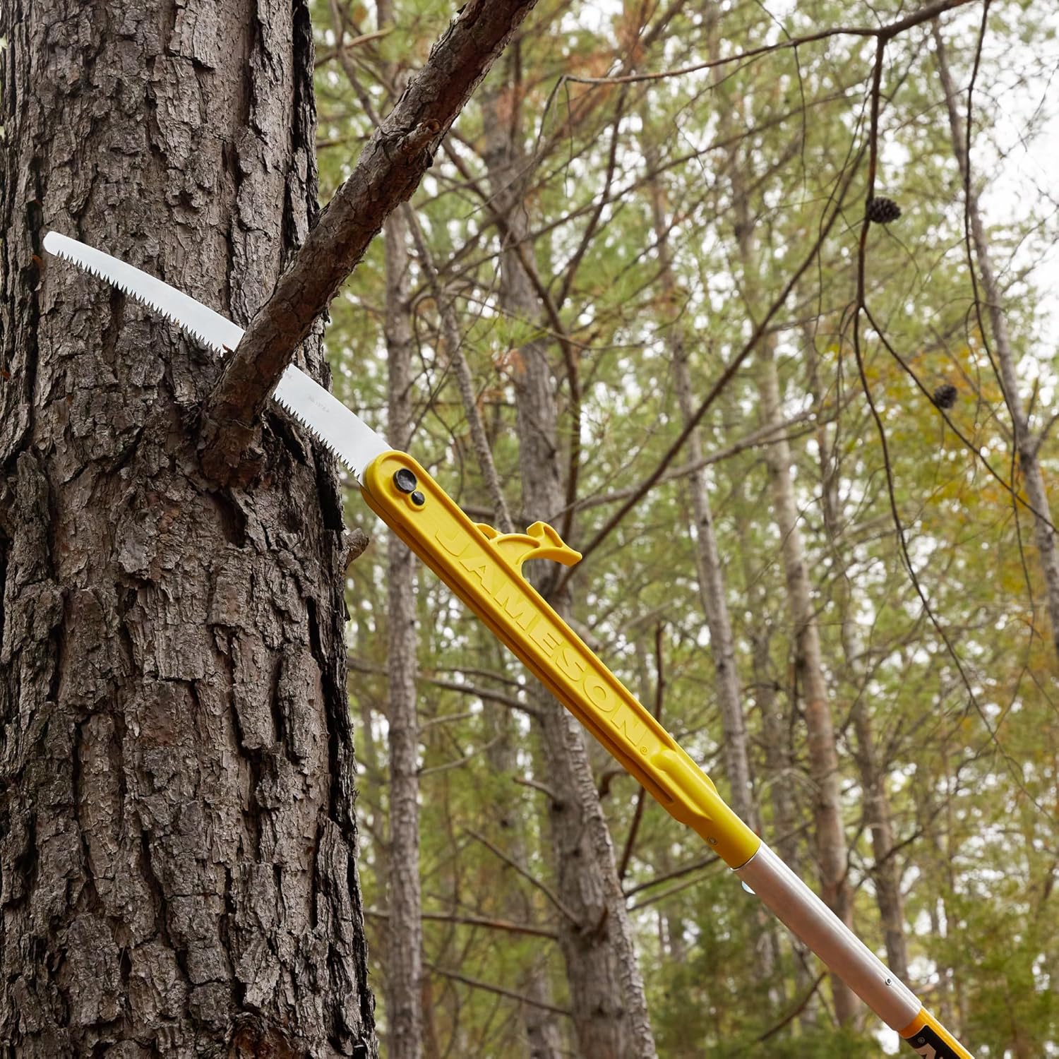 Jameson Folding Pole Saw with 13 inch Barracuda Hard Chrome Plated Tri-Cut Saw Blade