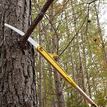 DOSON ドソン Nixon The Cruiser Watch, 36mm | Bloomingdale's