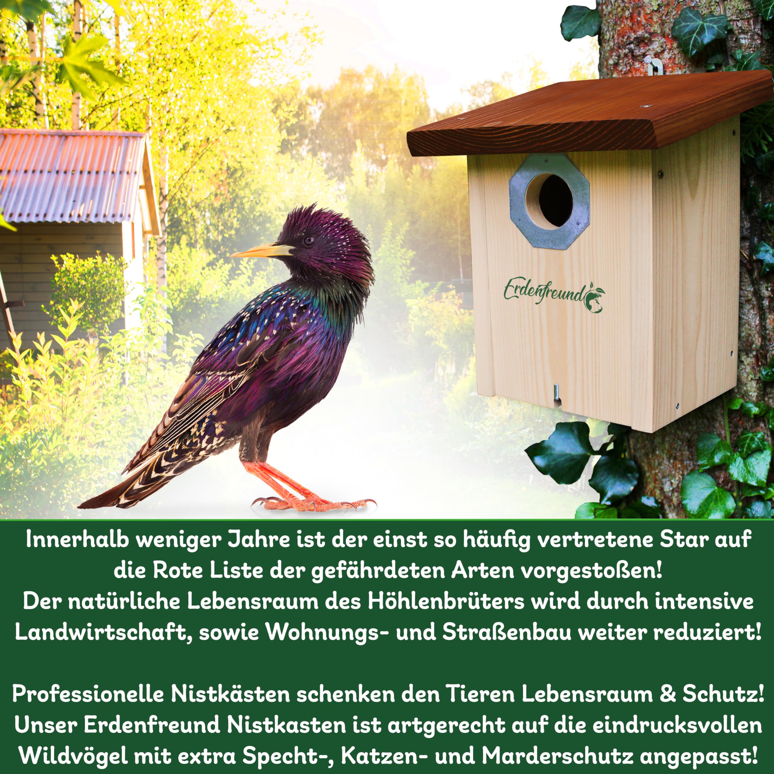 ERDENFREUND® Merel Nestkast Free Breeders Inkopen via de online groothandel