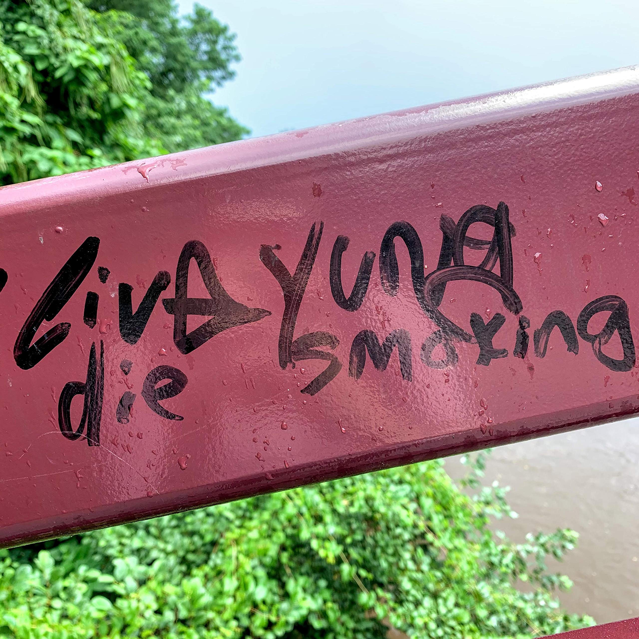 2020 Freestyle/Andrew Yang [Explicit]