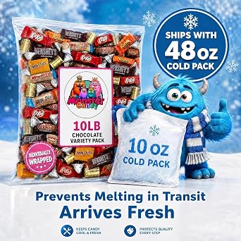 Chocolate Party Favor Candy Mix - 10 lb Stuffers - Goodie Bag Stuffers for Kids Party Favors - Chocolate Candy Variety Pack Bulk - Individually Wrapped Candies - Cold Pack Included