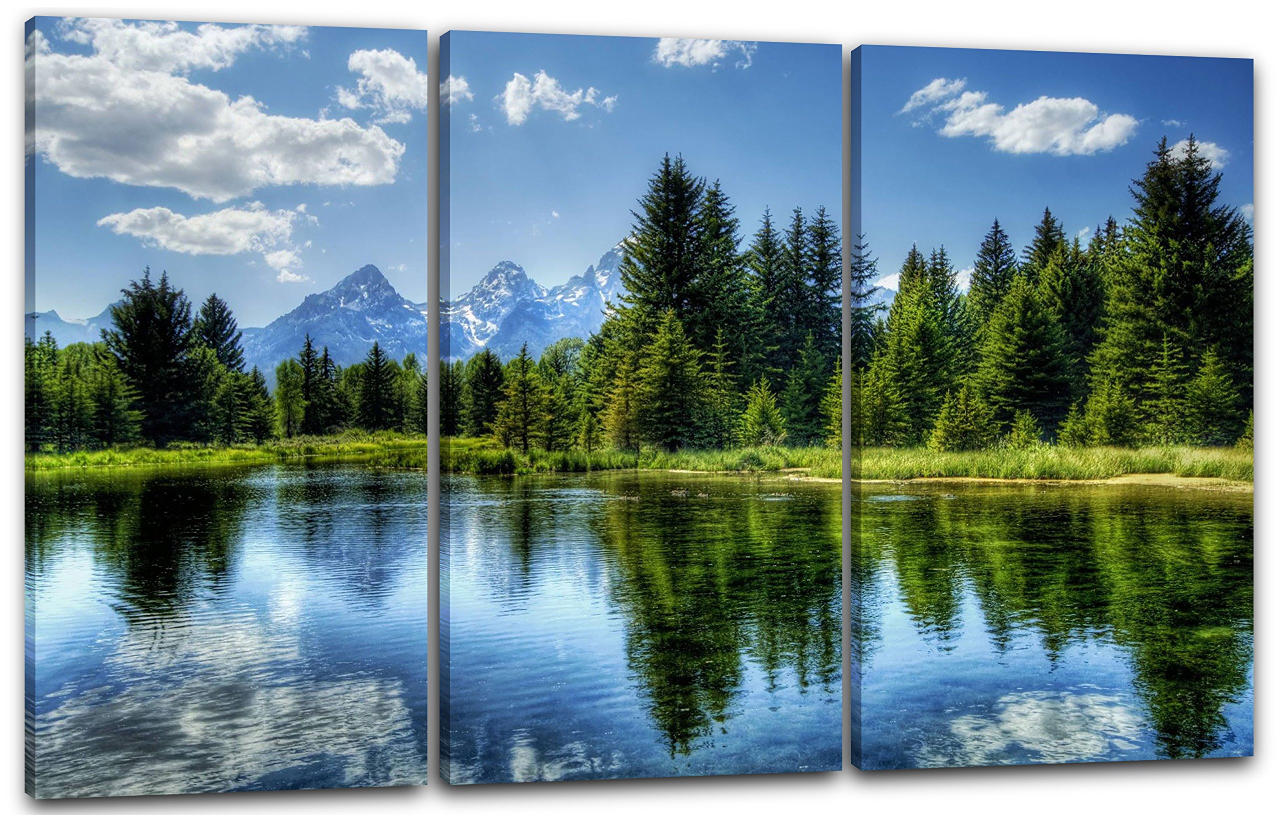 Printed Paintings Leinwand 3-teilig(120x80cm): Landschaftsbilder grüner Wald, dahinter Berge, SPI