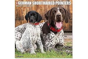 German Shorthaired Pointer Calendar 2023 | Wall Calendar with Stunning Photography
