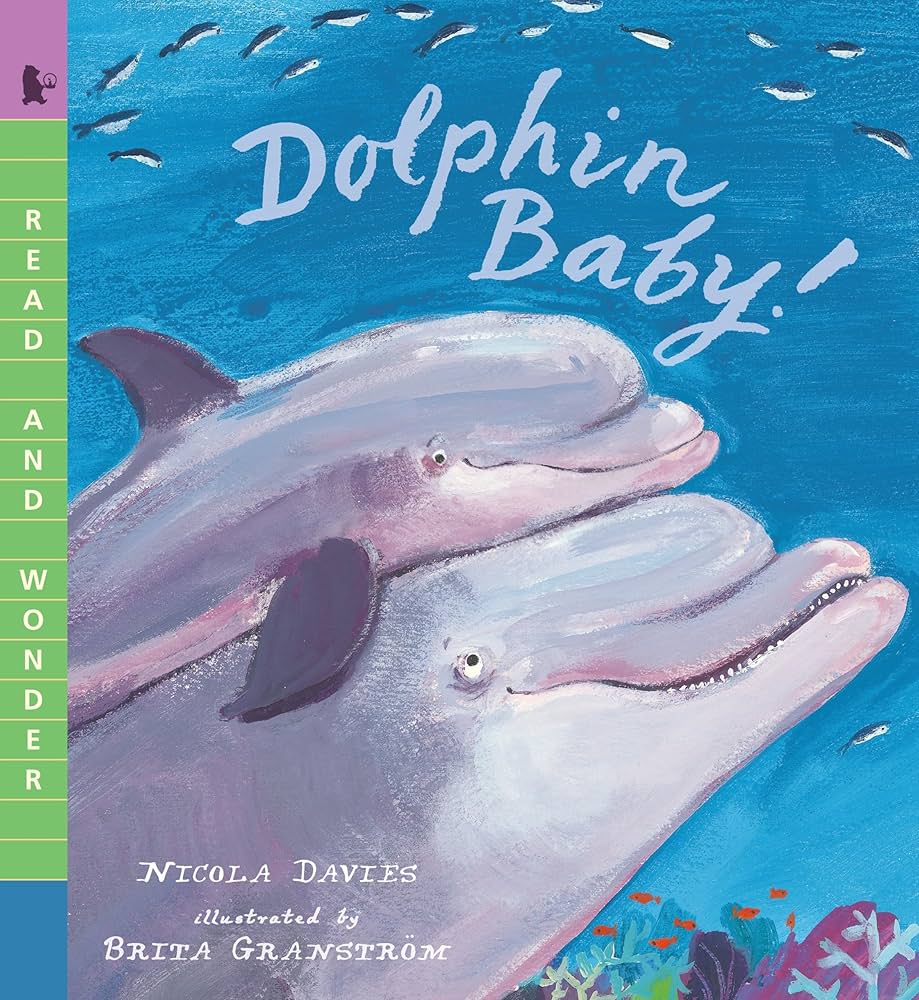 ヘンリー川原　en DOLPHIN Dolphin Baby!: Read and Wonder: Davies, Nicola, Granström