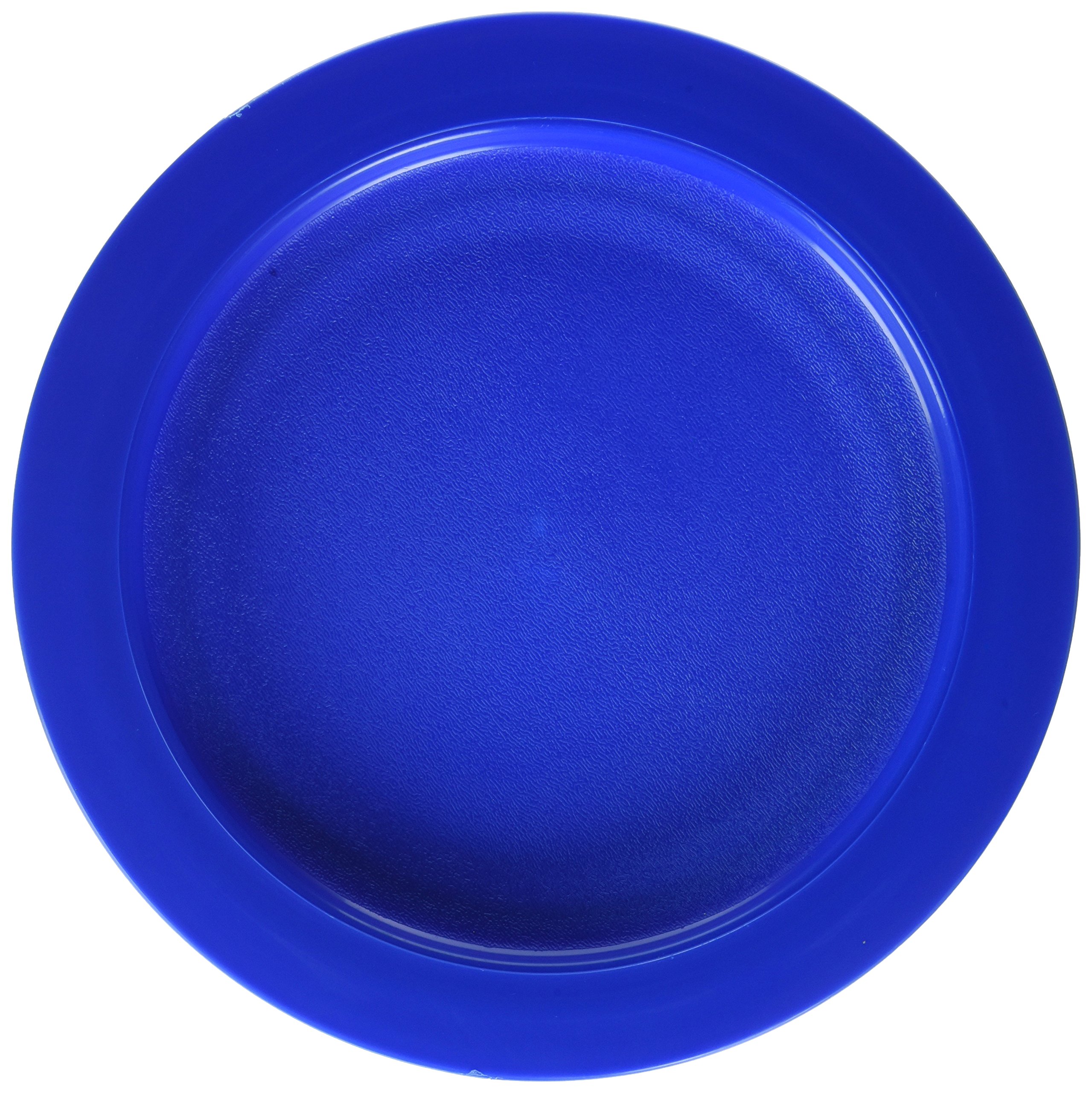 Sammons PrestonPlate with Inside Edge, 9" Plate with Food Spill Prevention Aid, Durable Plates with Inner Lip, Eating Support for Children, Adults, Elderly and Disabled, Polypropylene, Blue