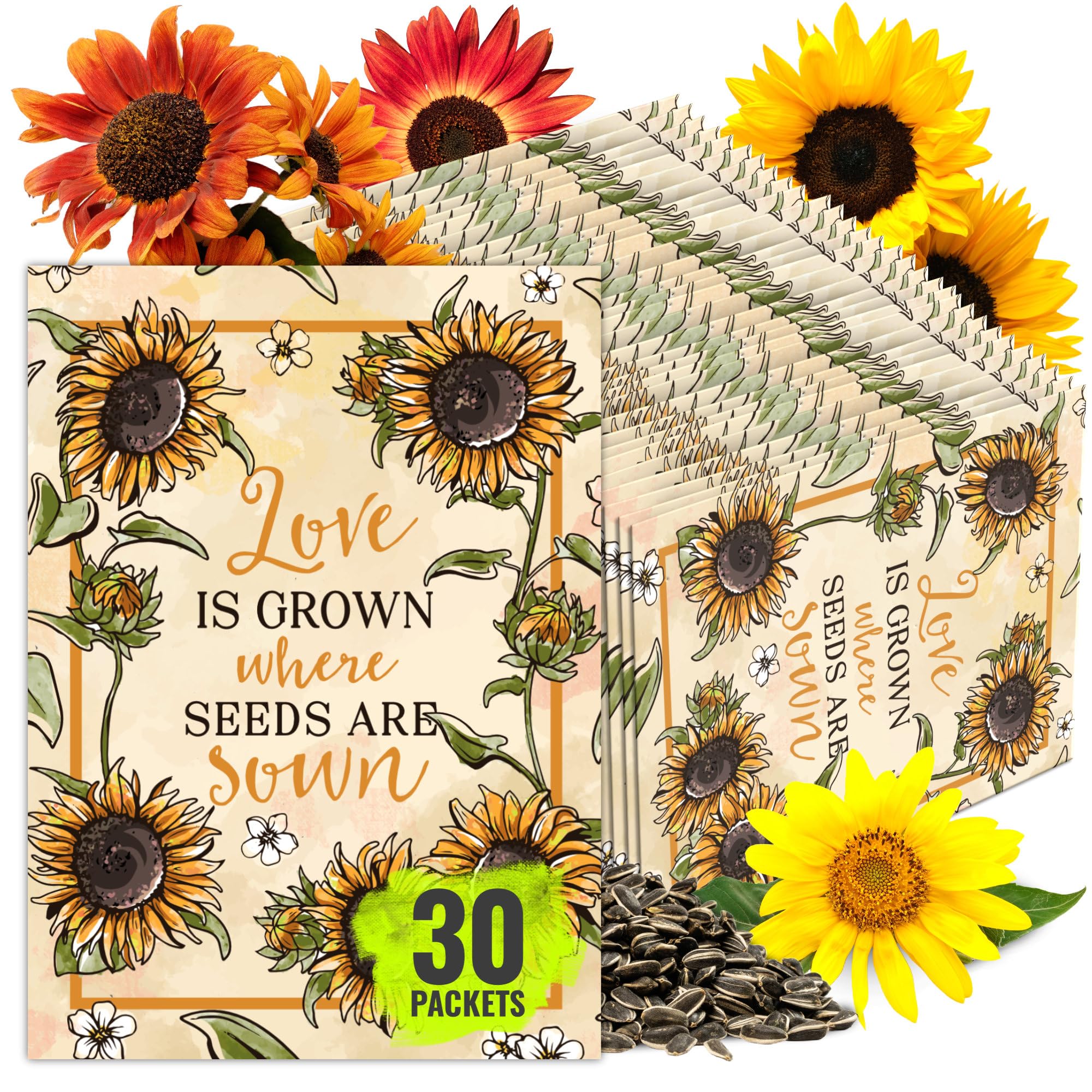 Seed Needs Autumn Beauty Sunflower