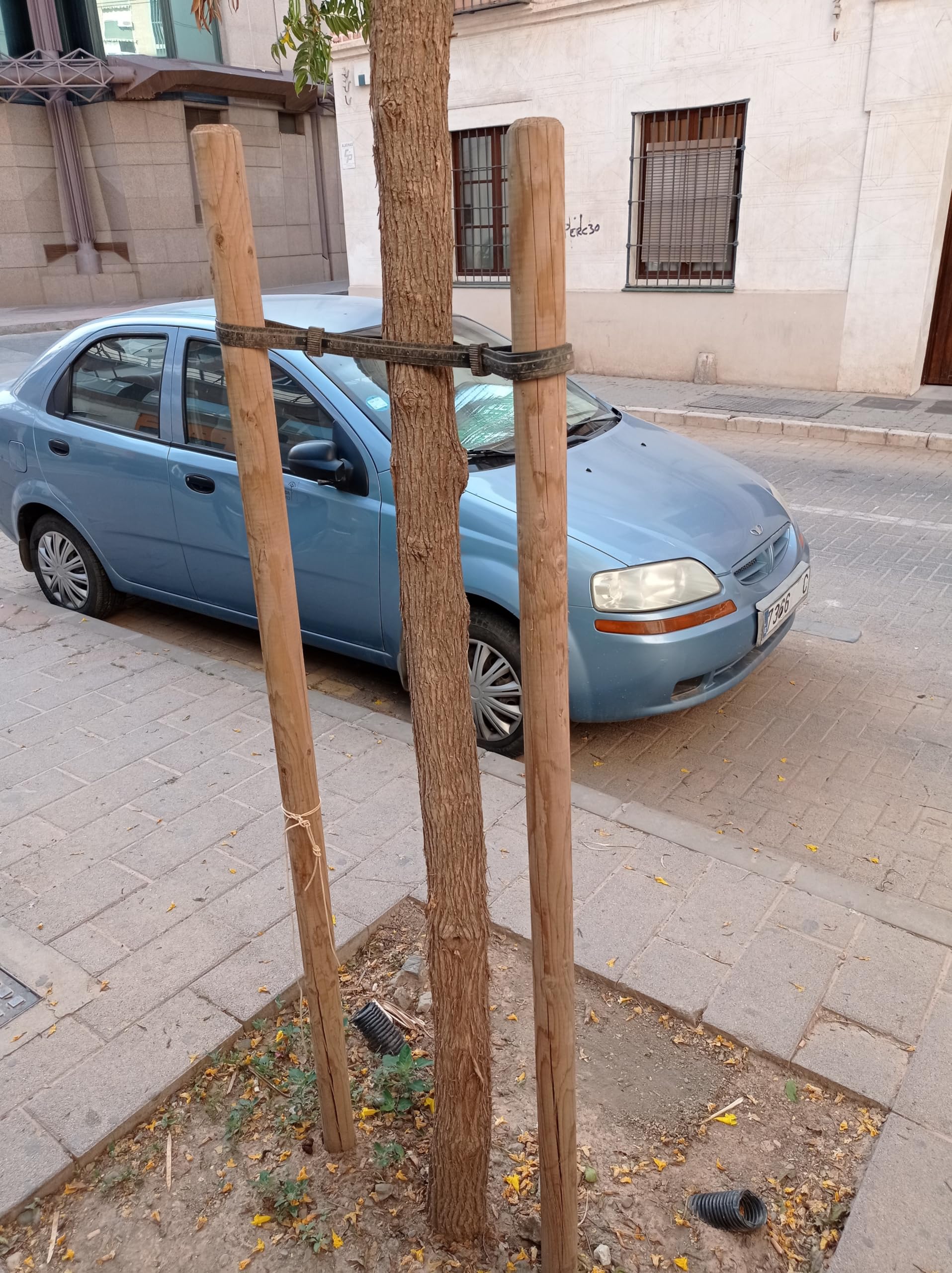 Suinga Estaca para Arboles 180 cm Ø 5 cm | Tutores con Punta | Poste para Vallas, Jardin y Plantas | Poste de Madera | Soporte para arboles