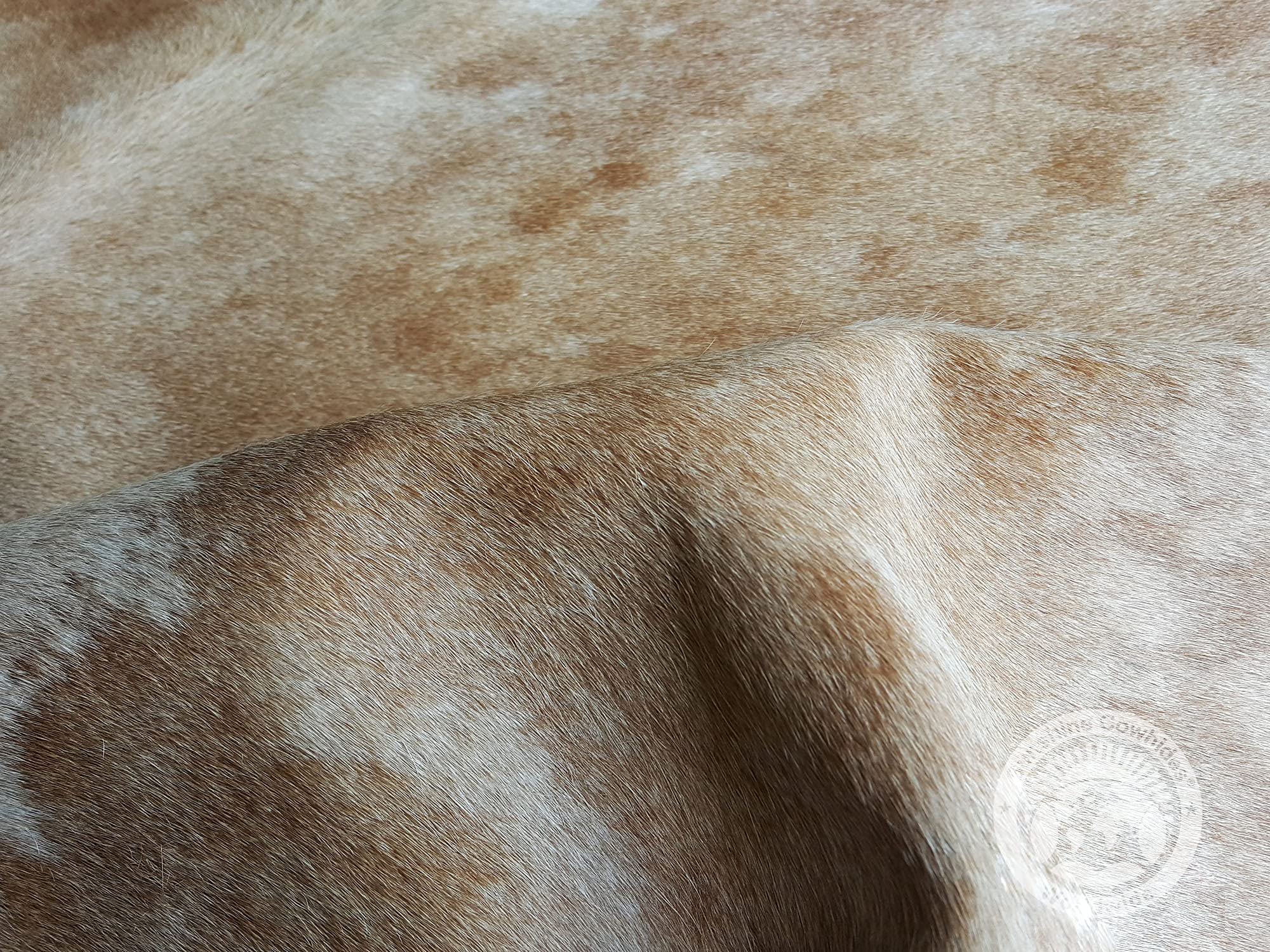 Amazon｜Sunshine Cowhides 100%本物のエキゾチックベージュ牛革ラグ