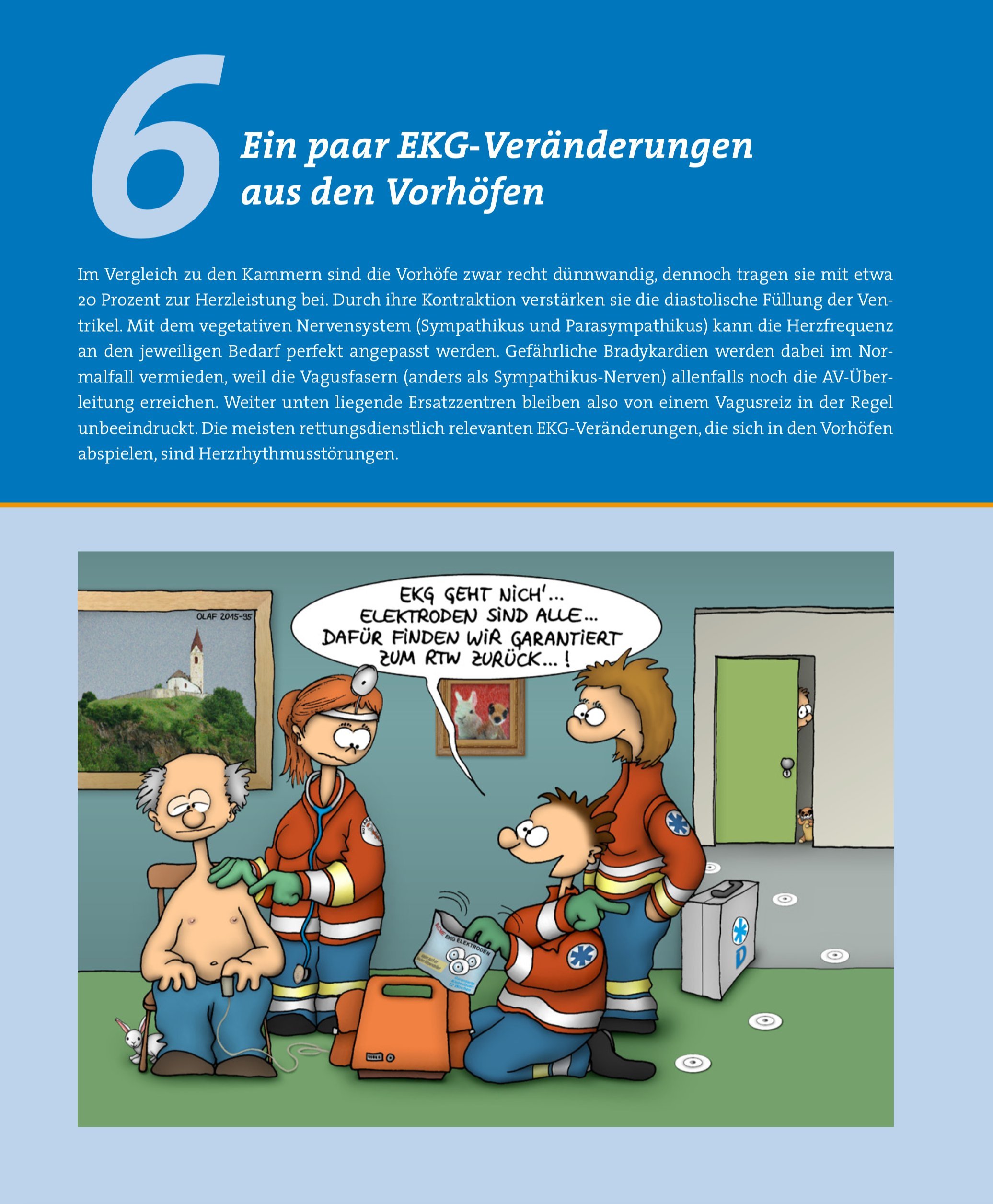 EKG in der Notfallmedizin: Grundlagen – Auswertung – Therapie