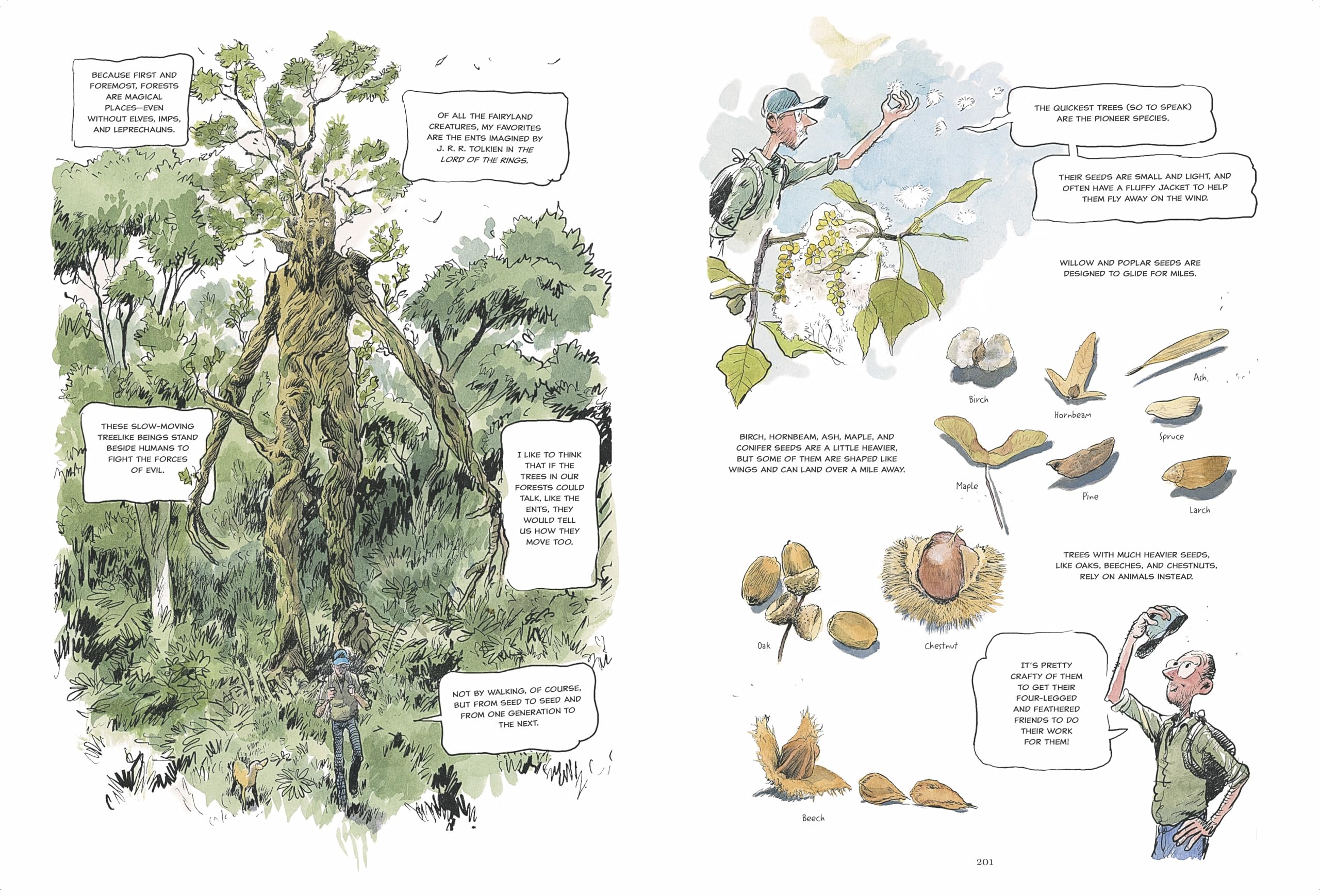 The Hidden Life of Trees: A Graphic Adaptation: (Of the International Bestseller)