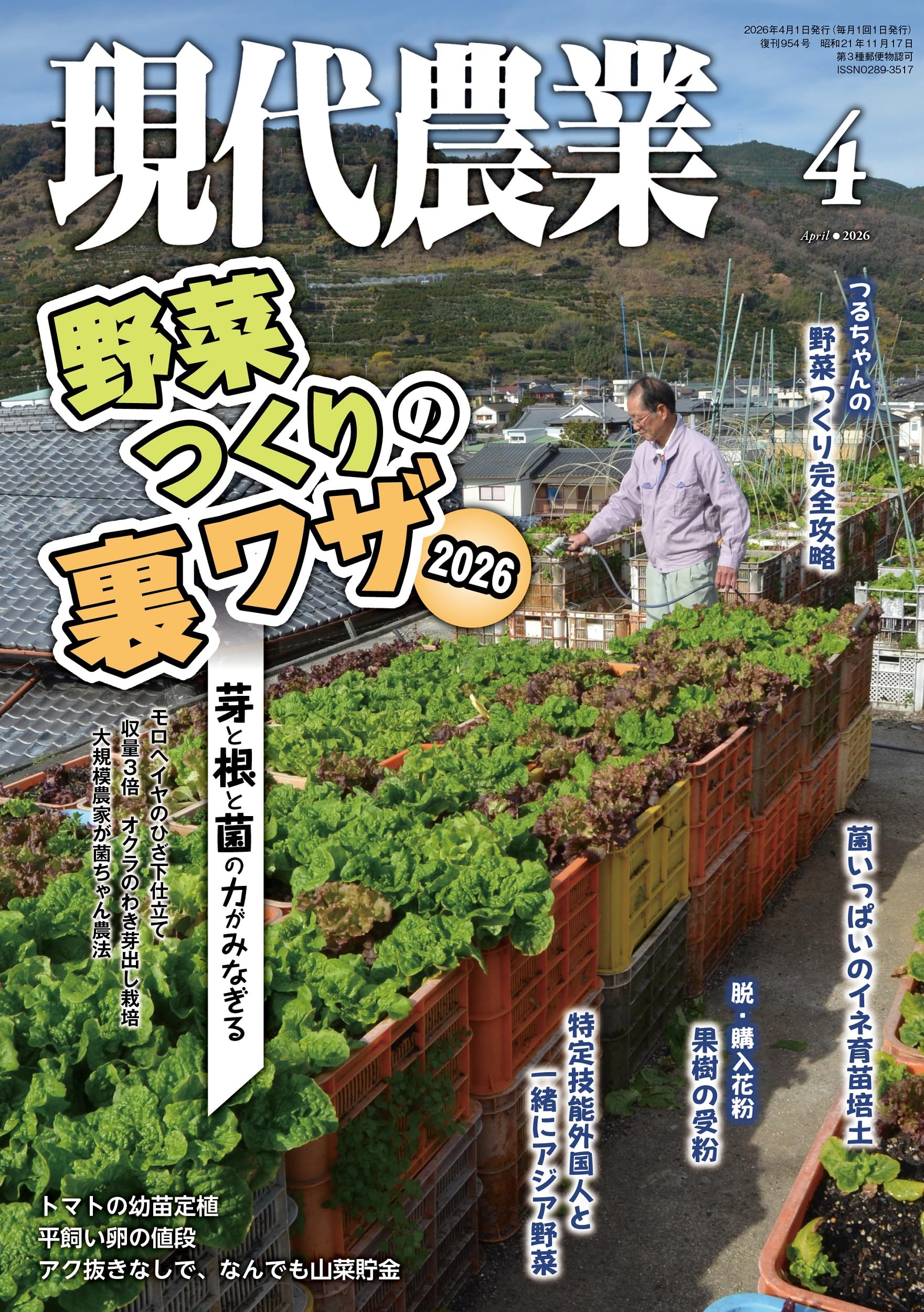 Amazon.co.jp: 現代農業: 野菜つくりの裏ワザ2026 (2026年4月号) : 本