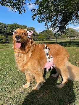 Midlee Cow Headband & Udder Dog Halloween Costume