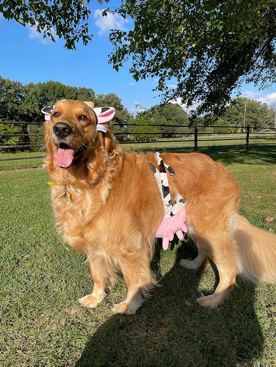 Midlee Cow Headband & Udder Dog Halloween Costume