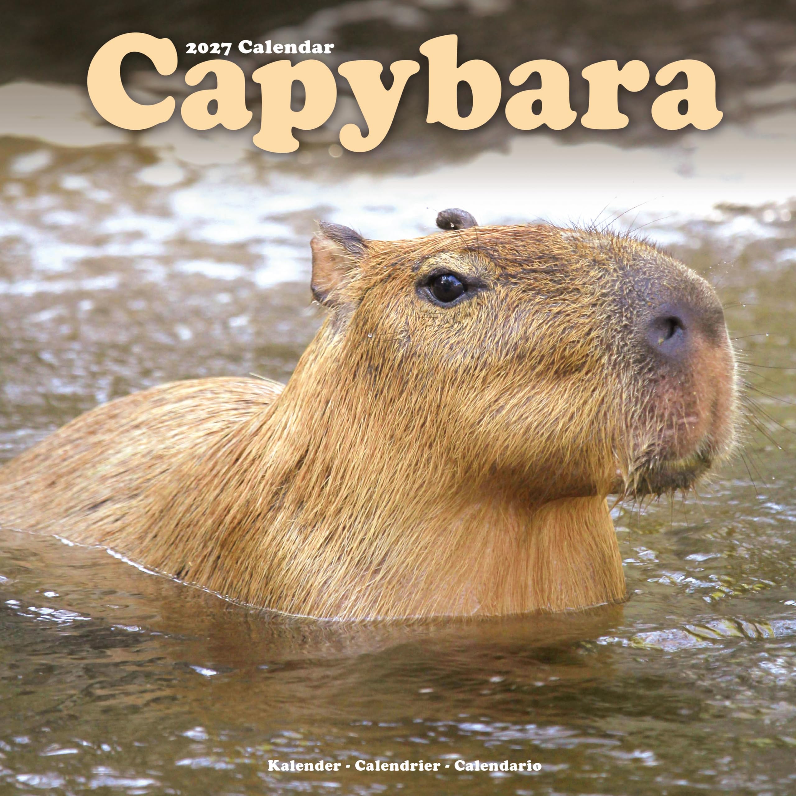 Capybara Calendar 2027, Wall Calendars, Month To View, Animals, Gift
