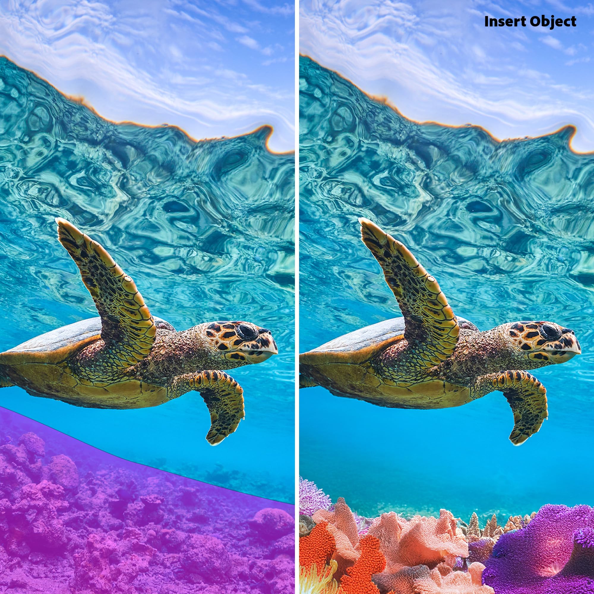 Adobe Photoshop Elements 2026 & Premiere Elements 2026 |Studetn and Teacher | Licence 3 ans| 1 appareil |1 Usager|PC/Mac|Téléchargement