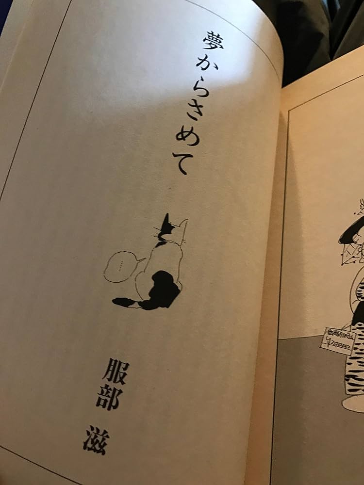 しんきらり (続) Amazon.co.jp: しんきらり 続 : やまだ 紫: Japanese Books