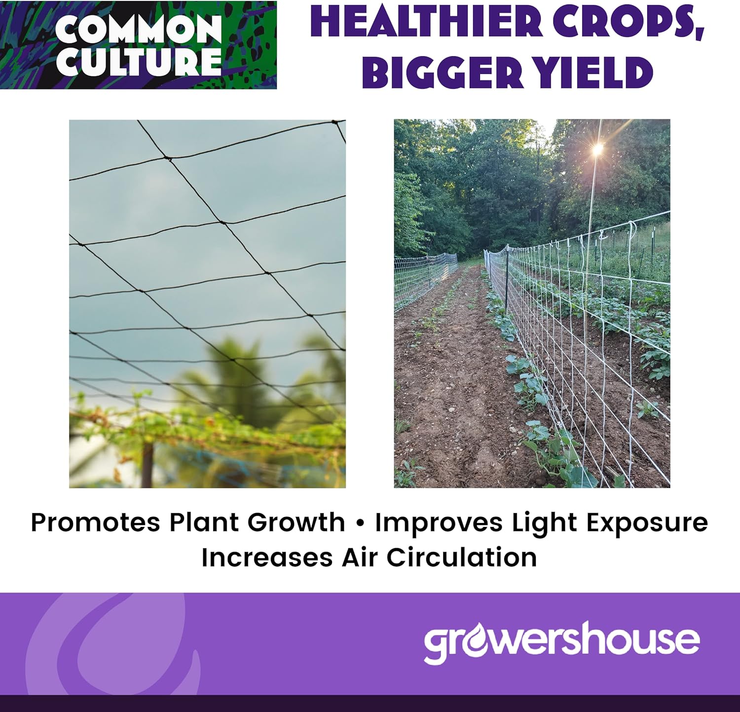 COMMON CULTURE Grow Strong Plant Trellis + Trojan Scissors - 6" Square Soft Mesh Nylon Trellis Netting Bulk Roll - Heavy-Duty Garden Netting for Plants - 5' x 350' - 1 Roll