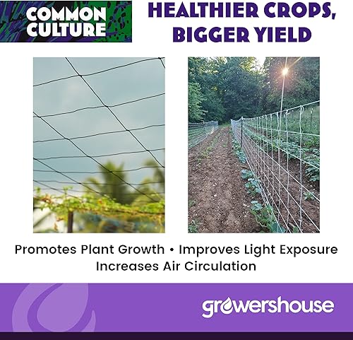 Miniatura 5 de Rollo de malla suave de nailon enrejado a granel, red de jardín resistente de 6.5 x 350 pies para plantas + tijeras de corte de cultivo común