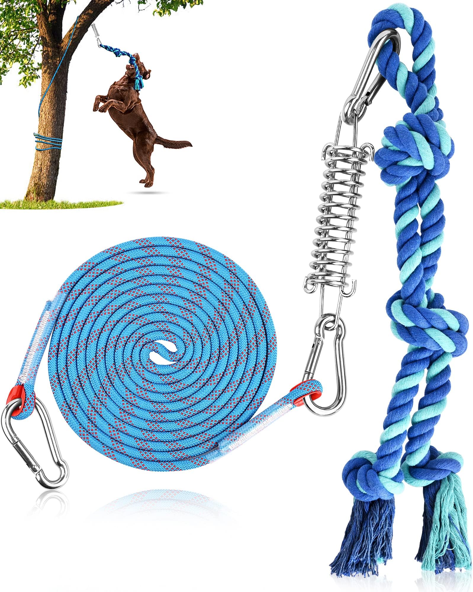 Dog Spring Pole Toy