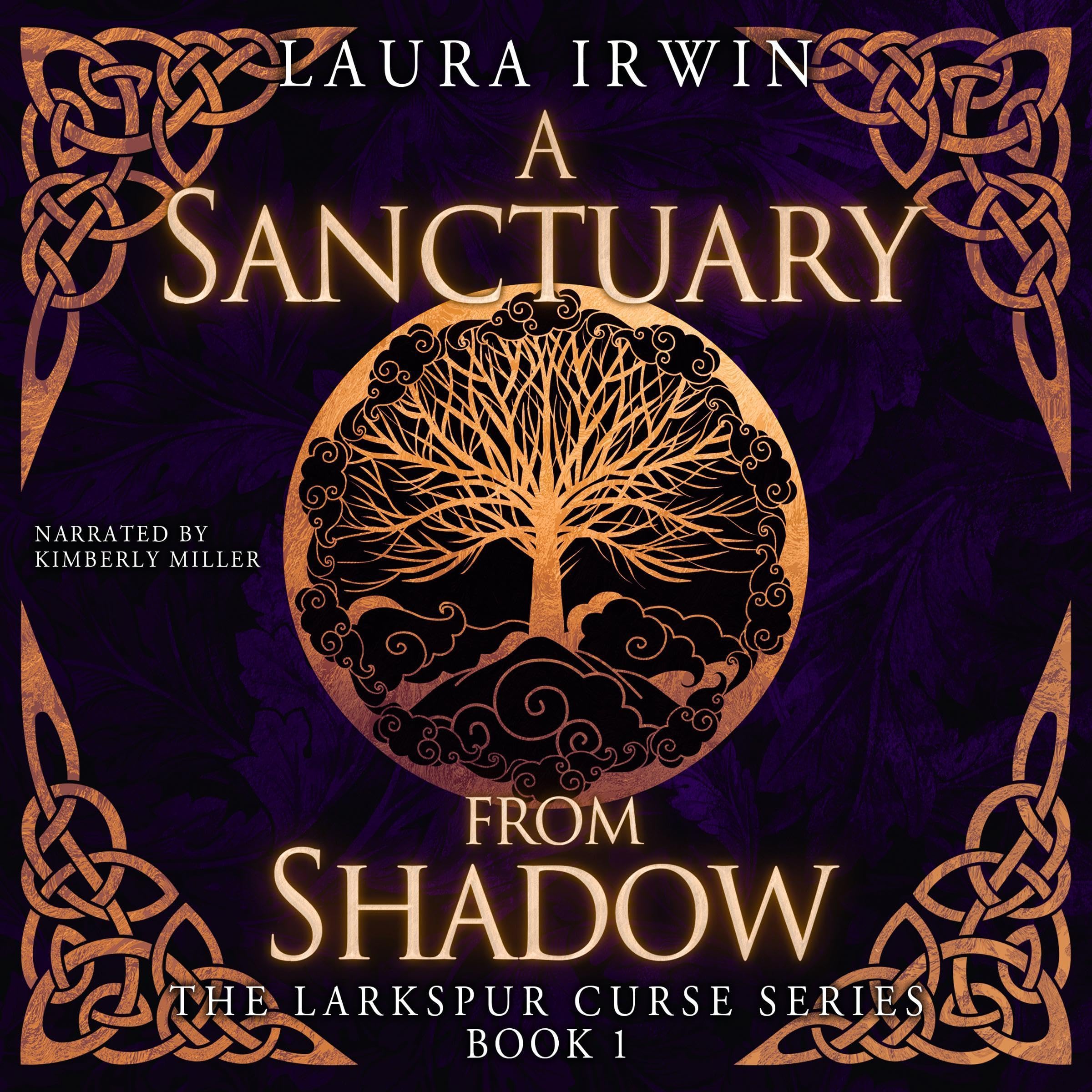 Cover art for A Sanctuary from Shadow