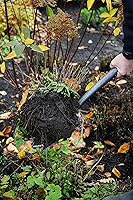 Vista 6 de DeWit Pala de dientes de tiburón, herramienta de jardín ligera