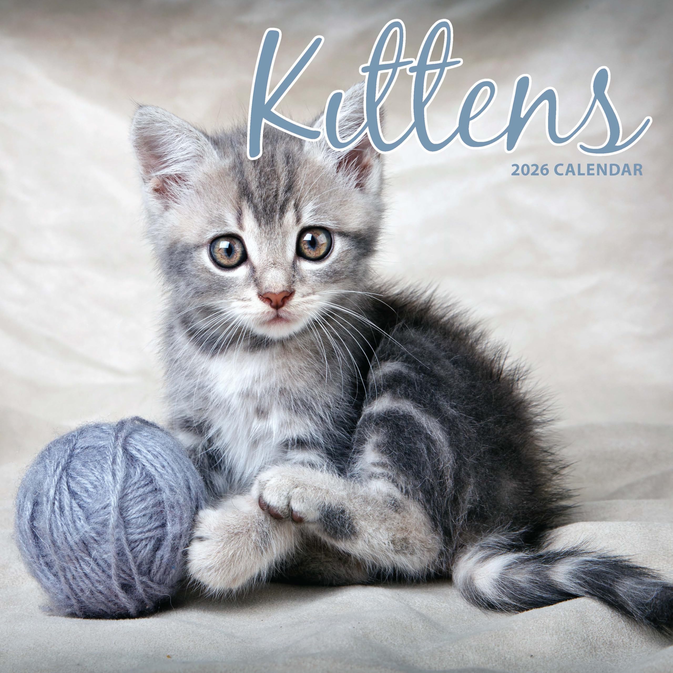 Kitten 2026 Traditional Calendar