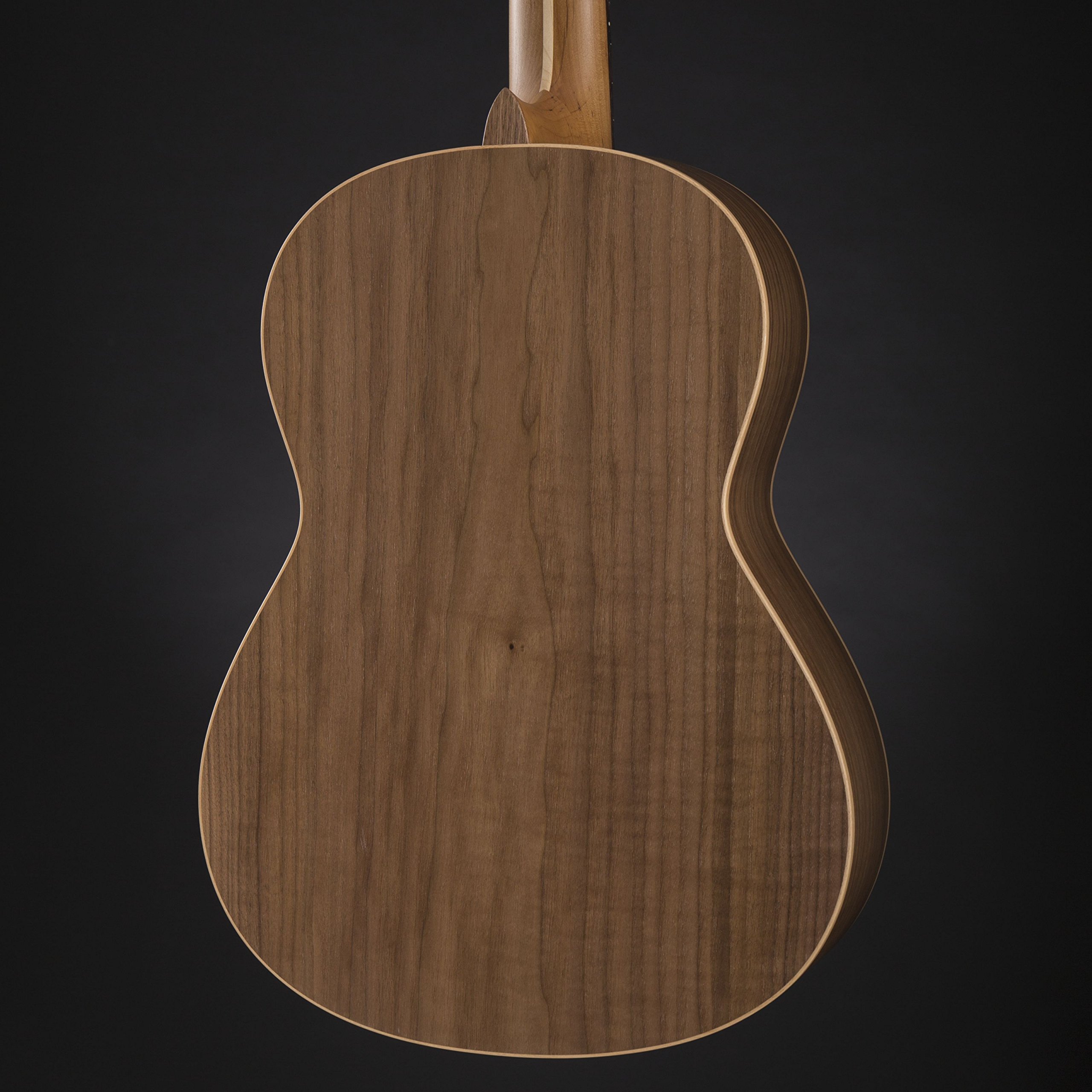 HGL 5 Guitarra de concierto