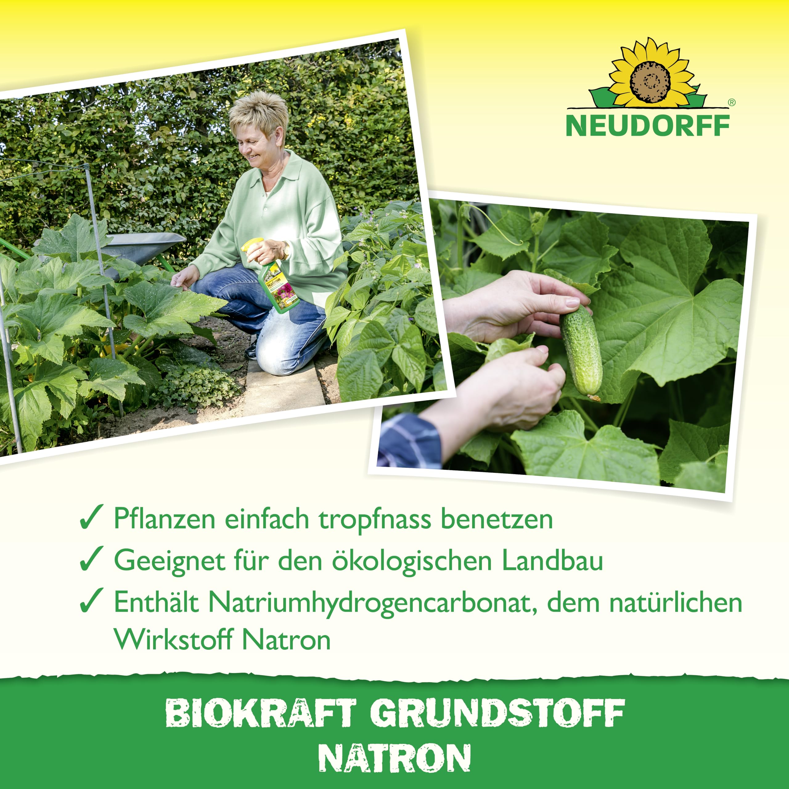 Neudorff BioKraft Grundstoff Natron – Anwendungsfertiges Spray gegen Pilzkrankheiten an Rosen und anderen Zierpflanzen, mit pflanzlichen Inhaltsstoffen, 500 ml