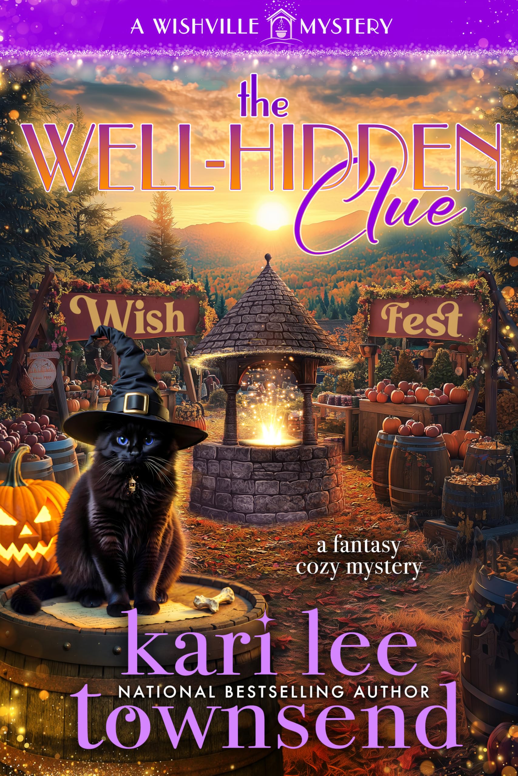 The Well-Hidden Clue (A Wishville Mystery Book 3)
