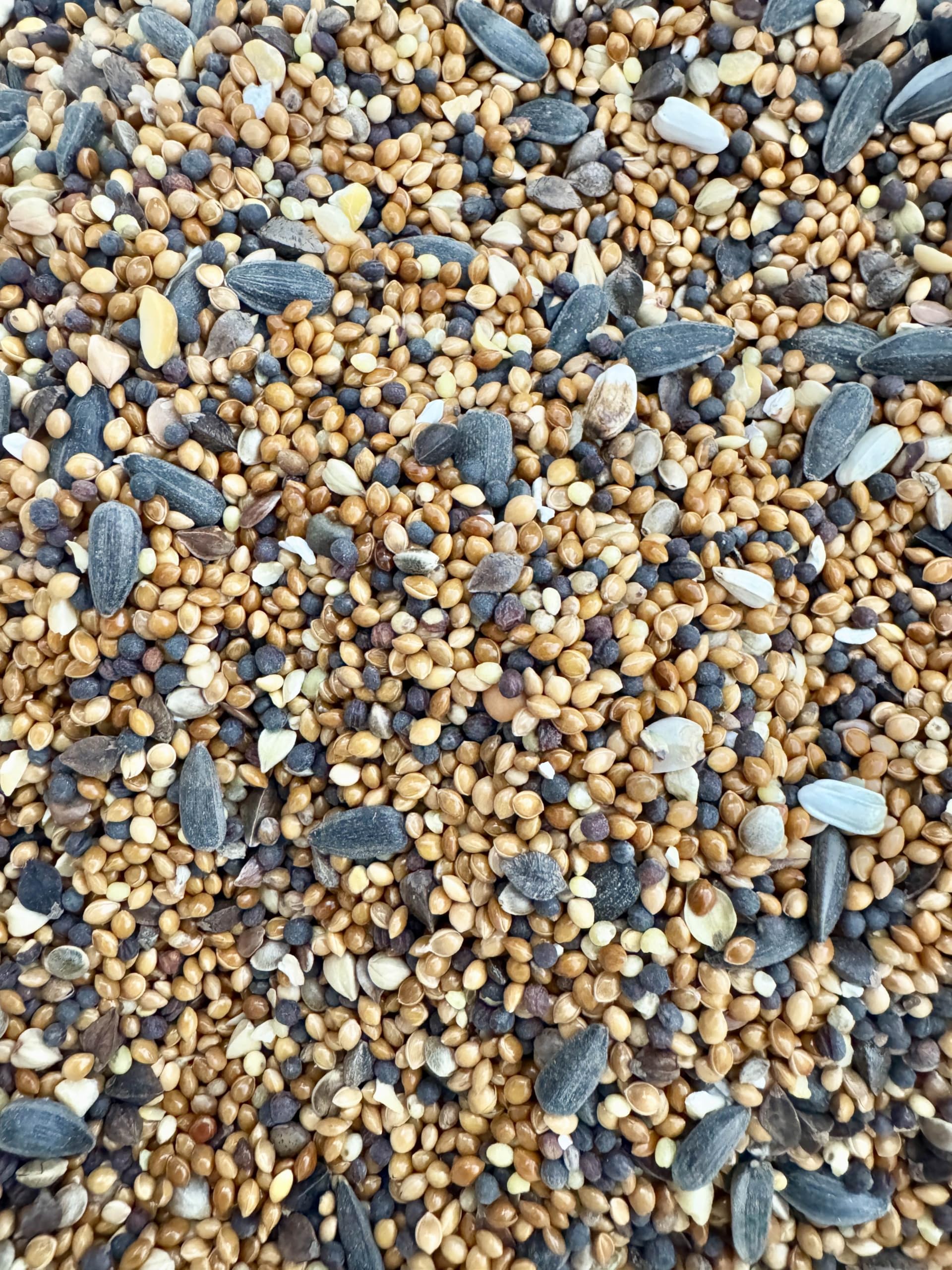 POSH Nourriture pour oiseaux sauvages 15 kg Mélange 4 saisons