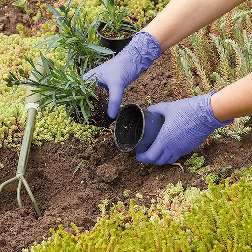 Miniatura 8 de FifthPulse Guantes de nitrilo desechables biodegradables, 150 unidades, guantes de cocina ecológicos seguros para alimentos, guantes sin polvo y