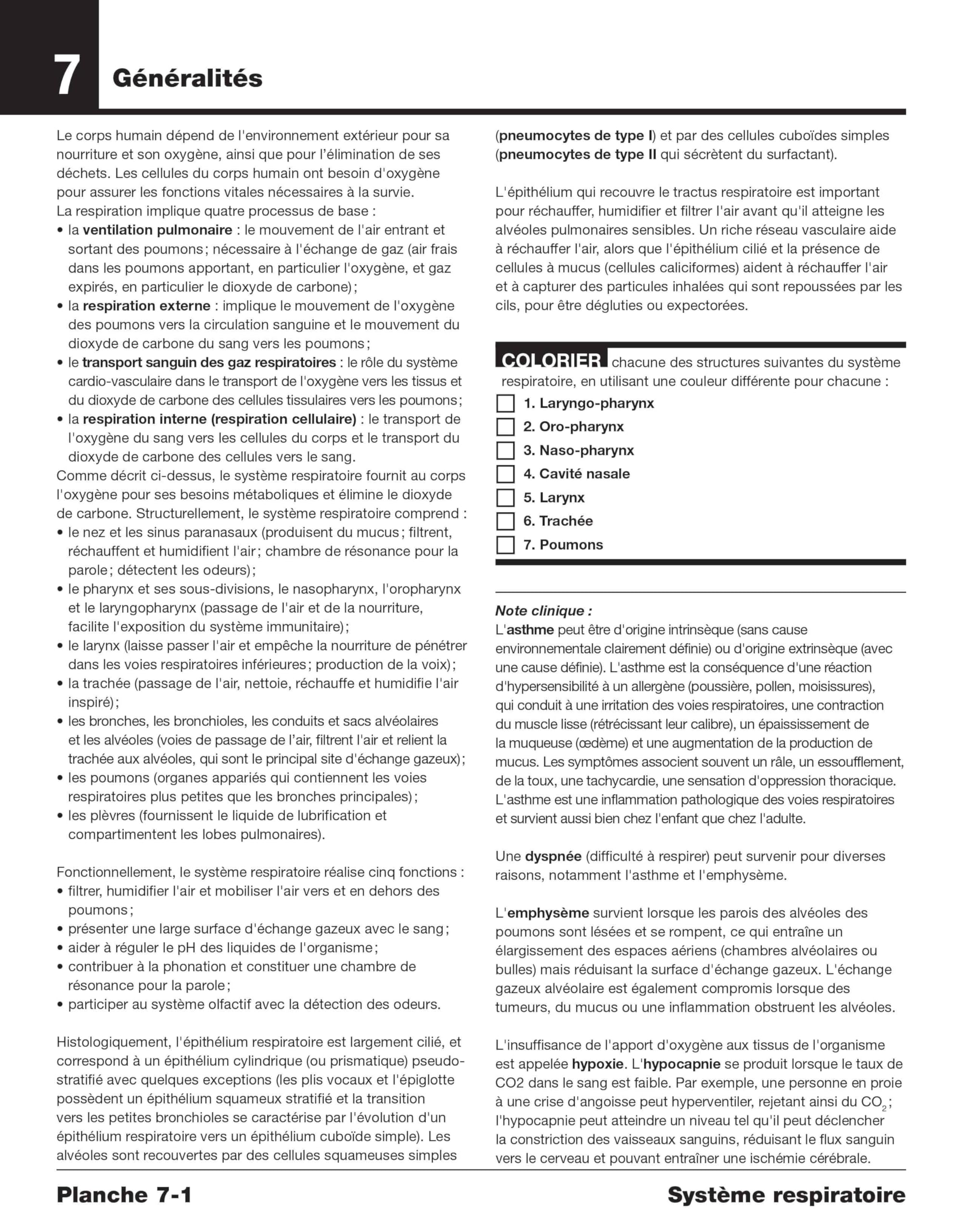 Anatomie à colorier Netter