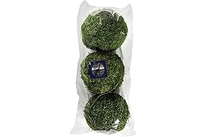 Must-Have Moss Balls: Revitalize Your Aquarium with SuperMoss Live Balls