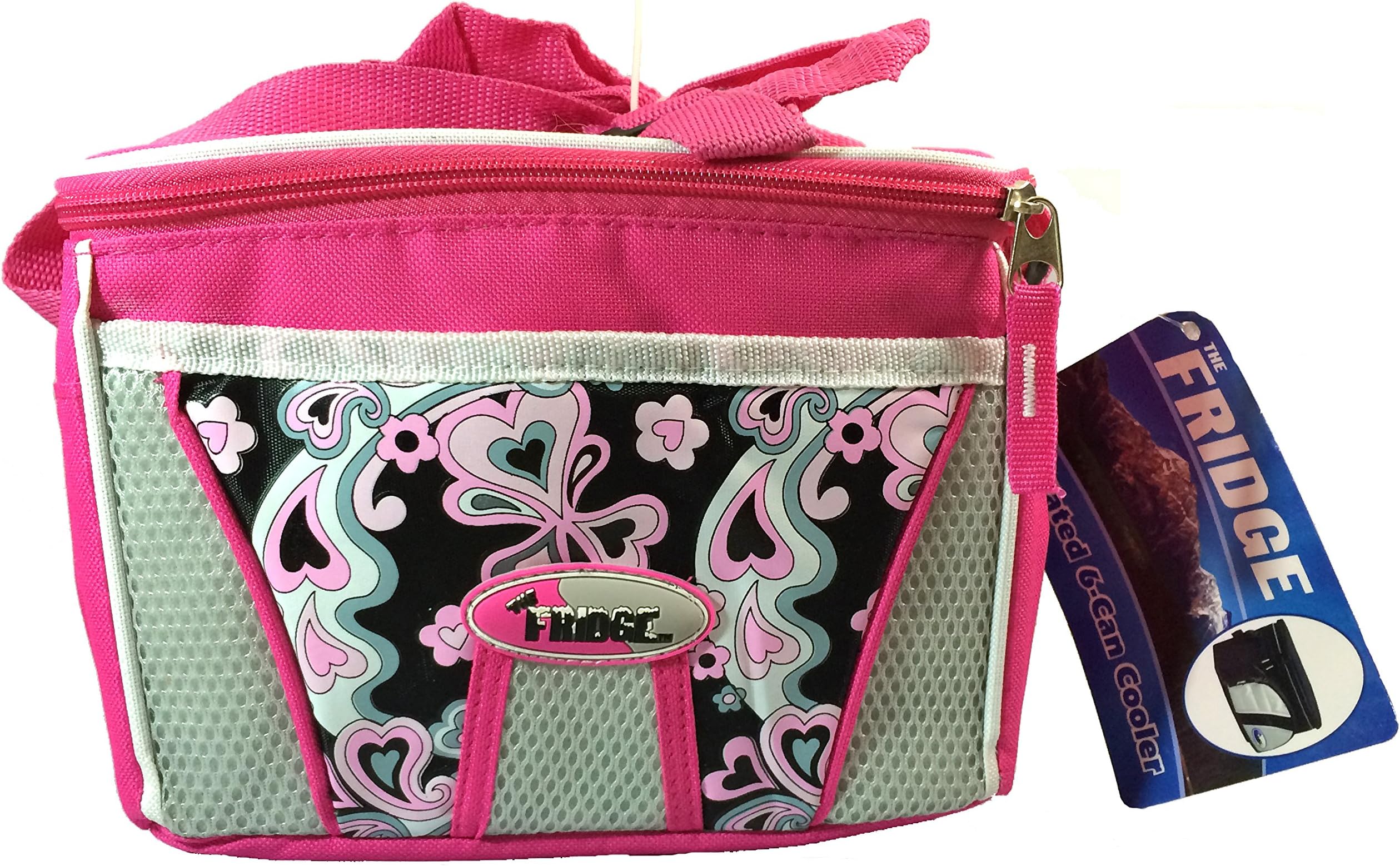 Fridge Insulated 6 Can Thermal Cooler Lunch Bag with Easy Clean Liner, Pink Pasley (9" x 6" x 7.25")