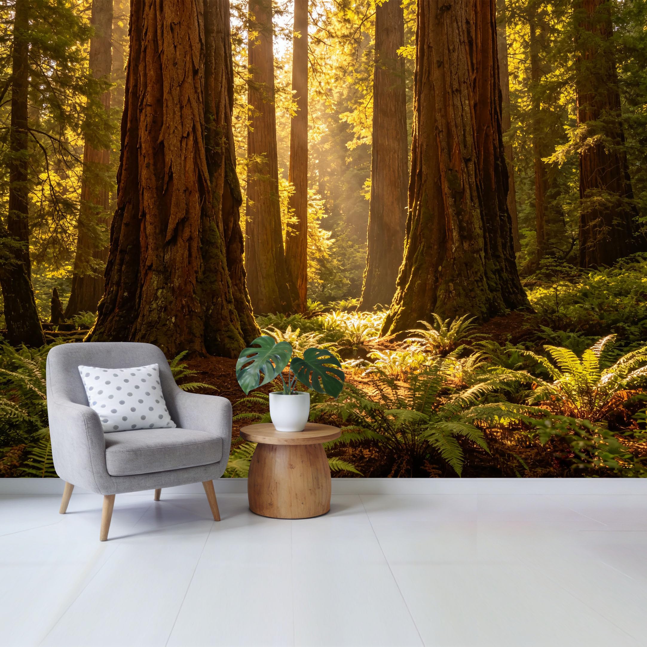 Custom Size Wall Mural Golden Sunlight Ancient Redwood Forest Giant Trees Fern Landscape SelfAdhesive Wall Fabric Removable Wallpaper for Home Office Decor